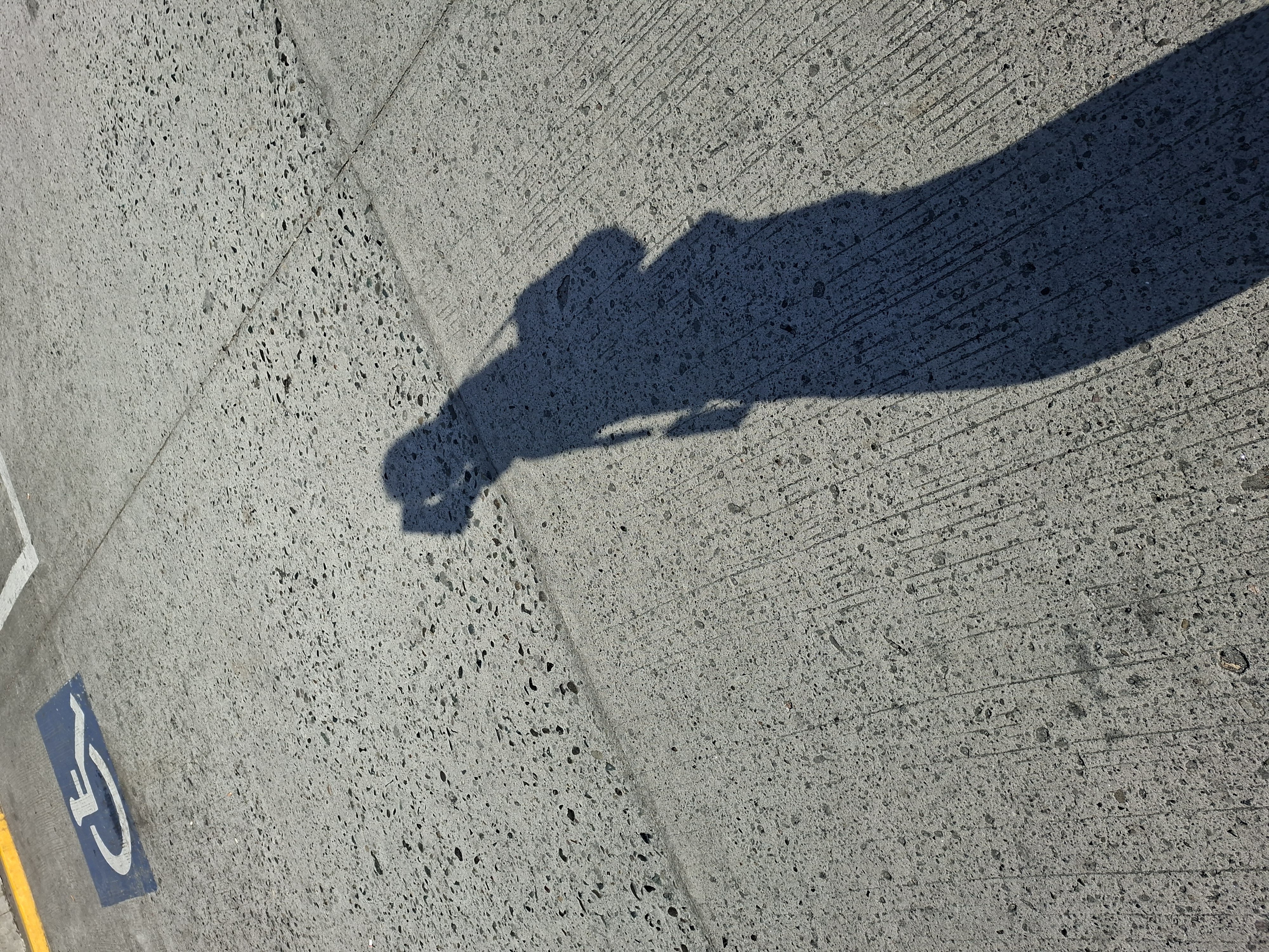 image-6801413463643020209.jpg