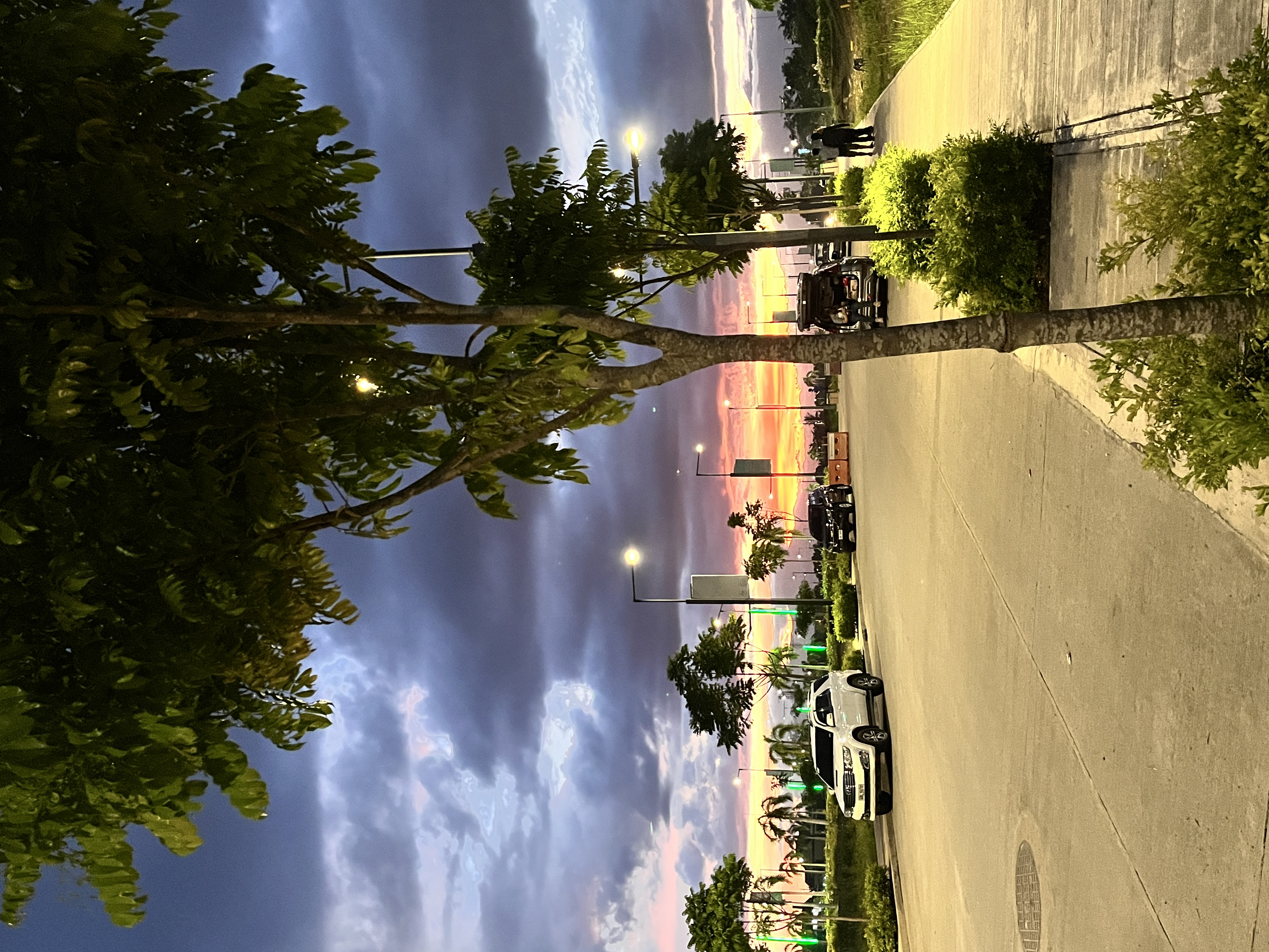 IMG_8248.jpeg