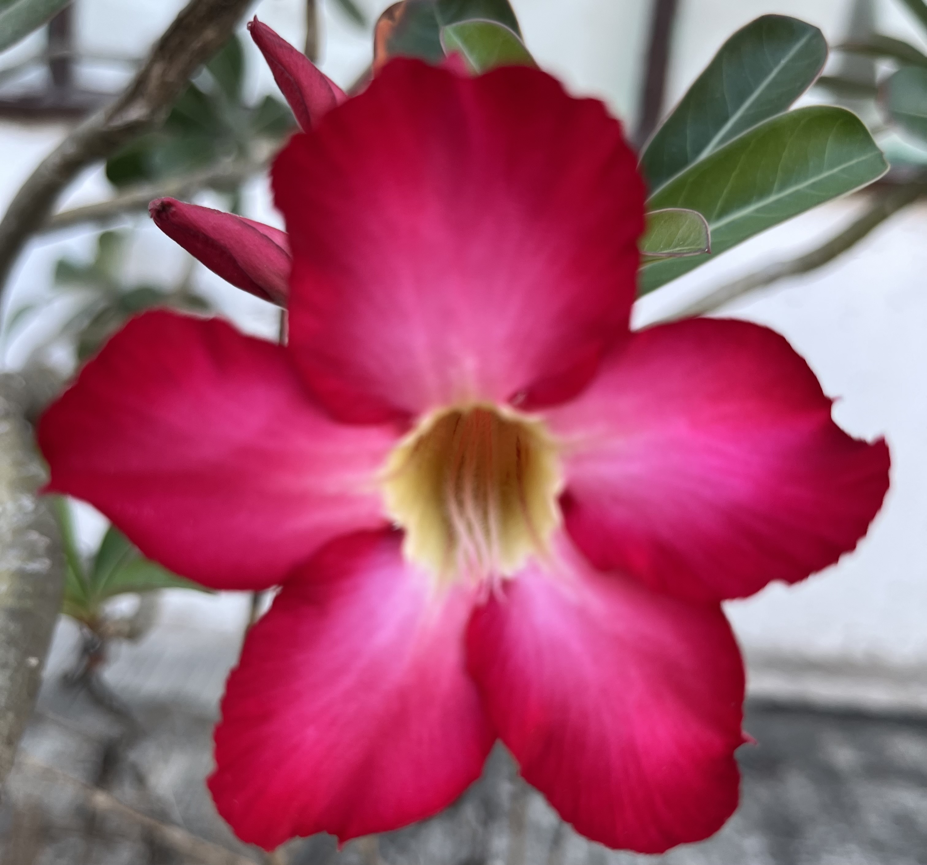 IMG_1703.jpeg