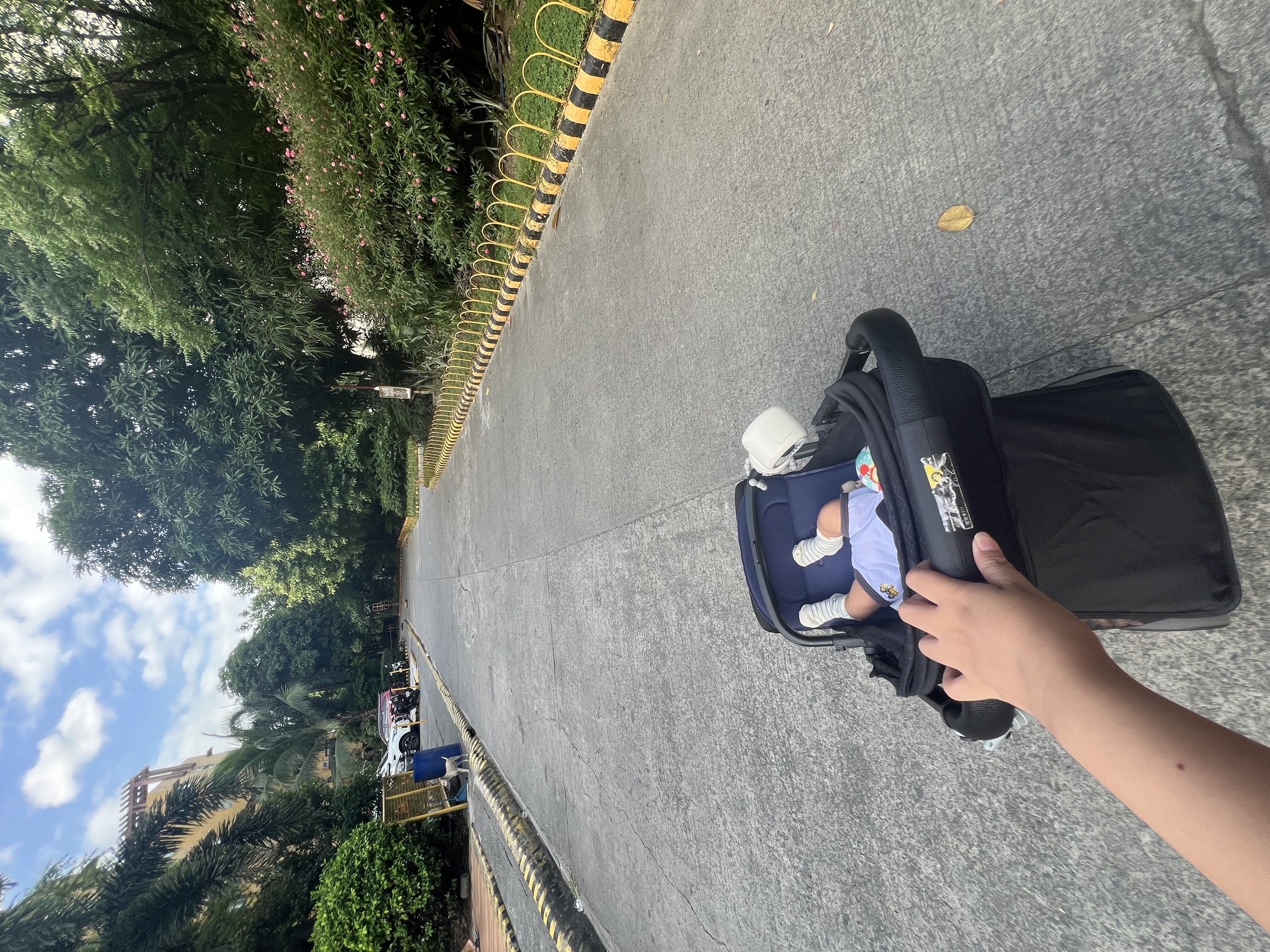 IMG_2350.jpeg