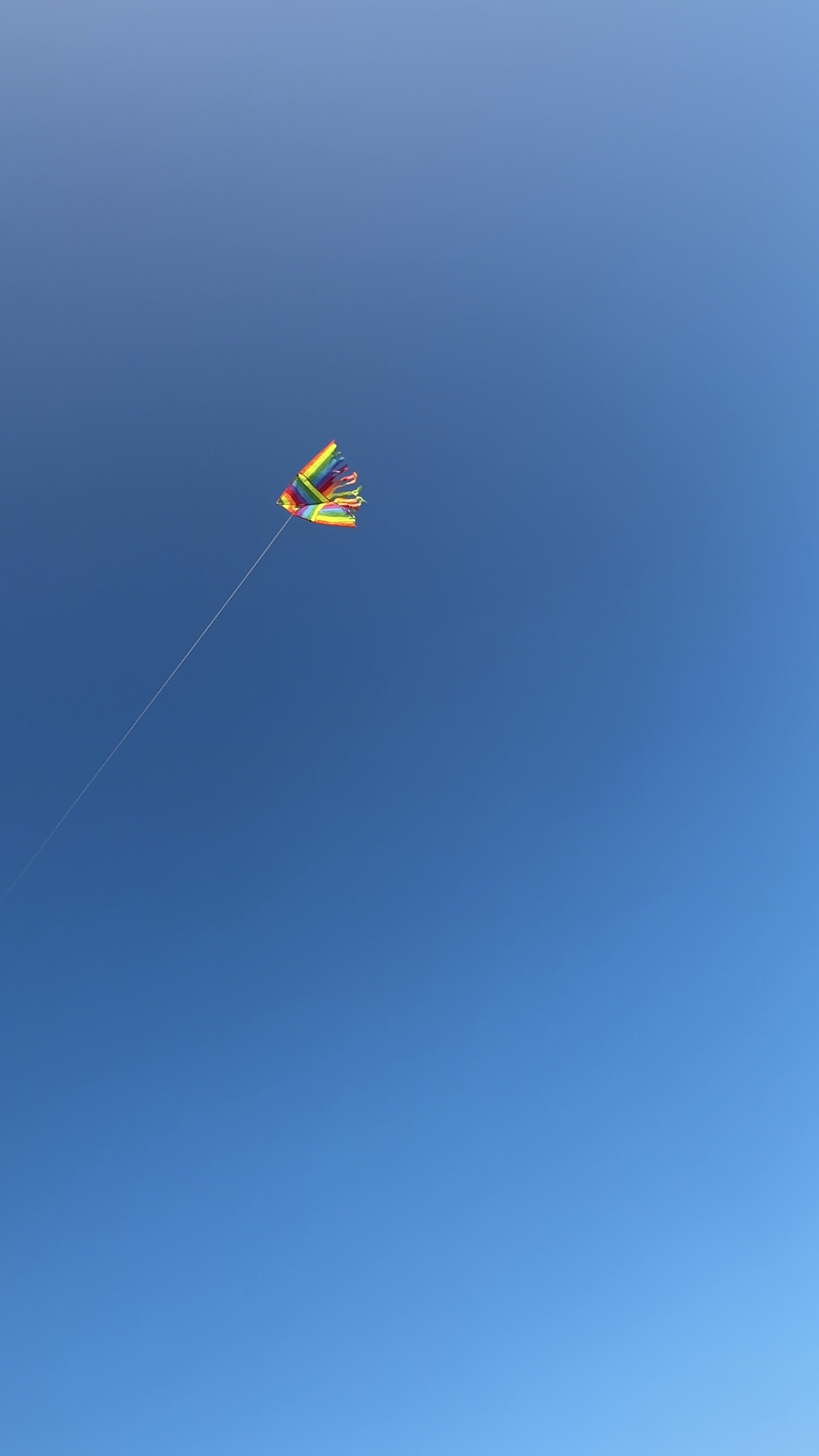 IMG_9582.jpeg