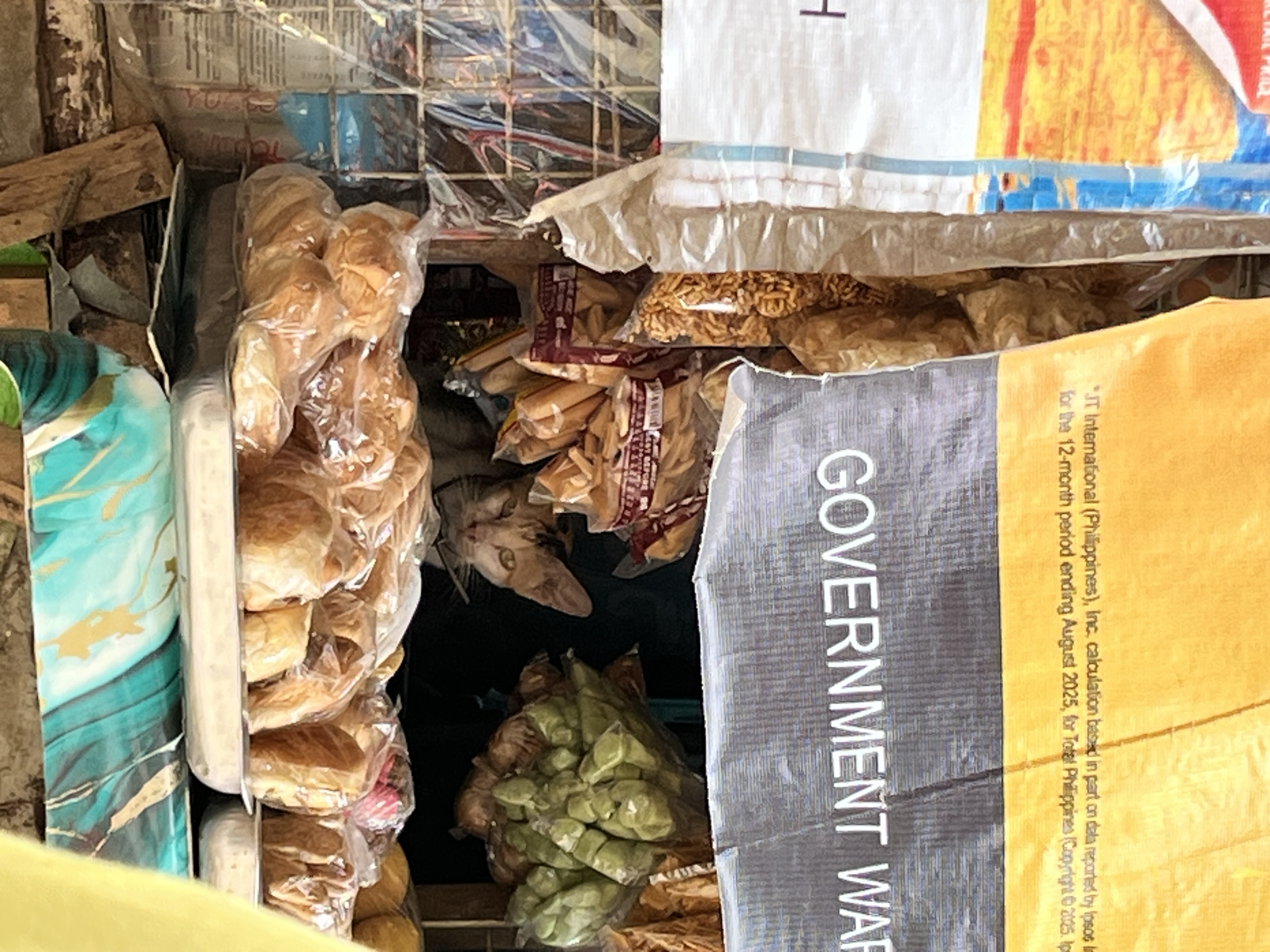 IMG_0215.jpeg
