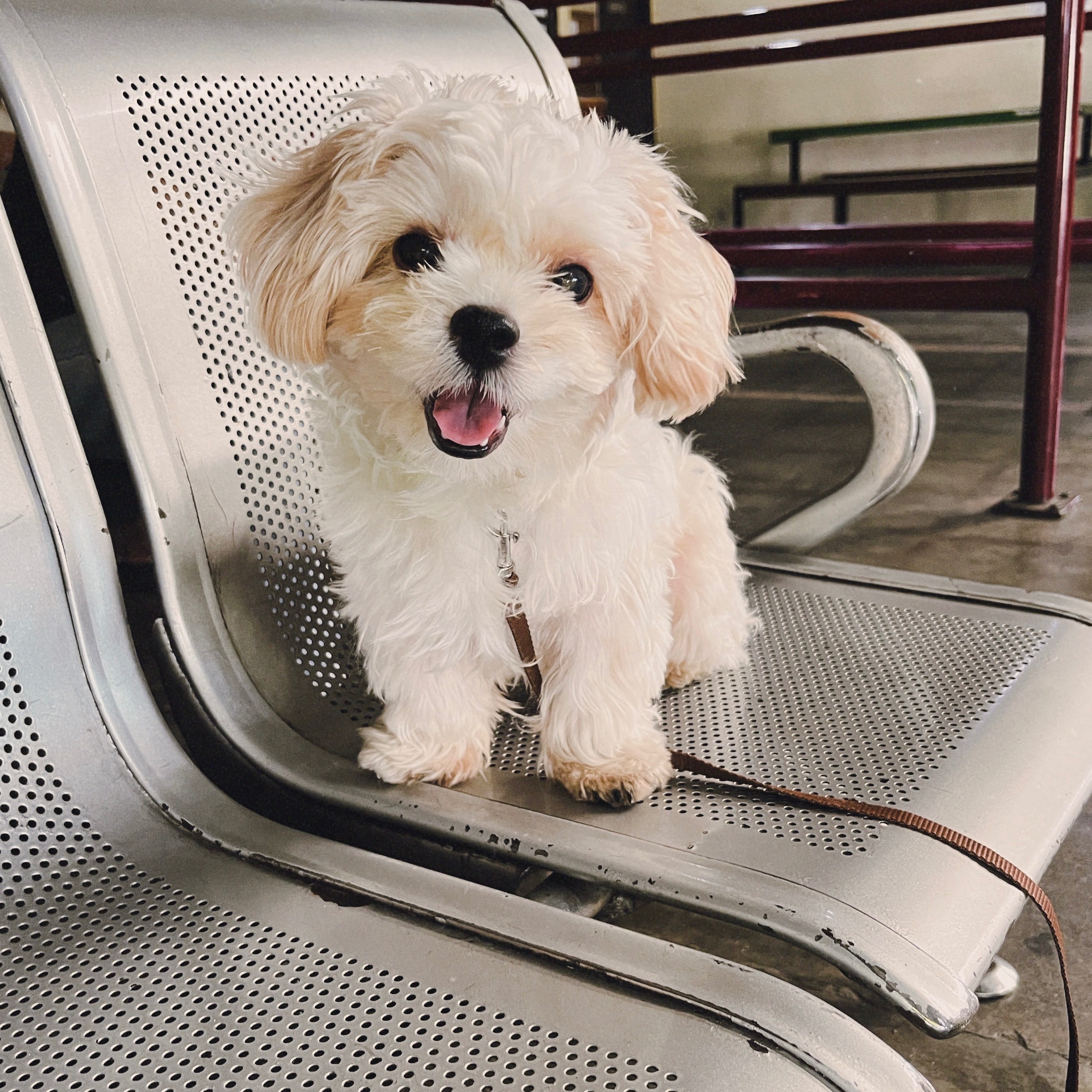 rayover_2026-03-15T07:48:23.556Z