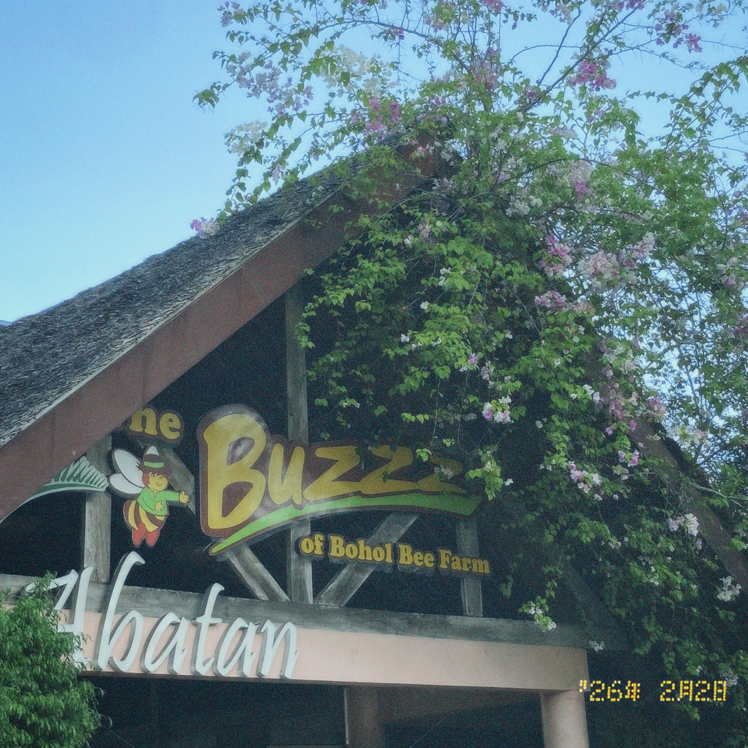 rayover_2026-03-15T23:59:00.624Z