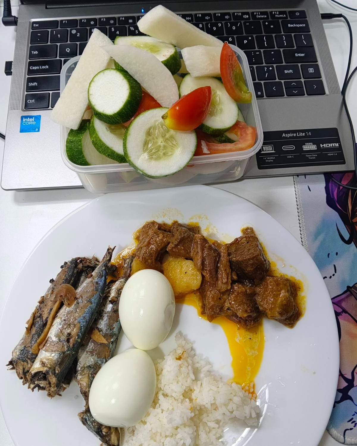 rayover_2026-03-16T05:12:50.623Z