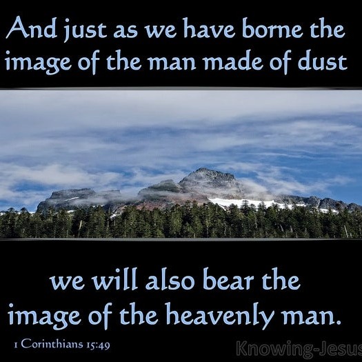 rayover_2026-03-17T13:20:56.373Z