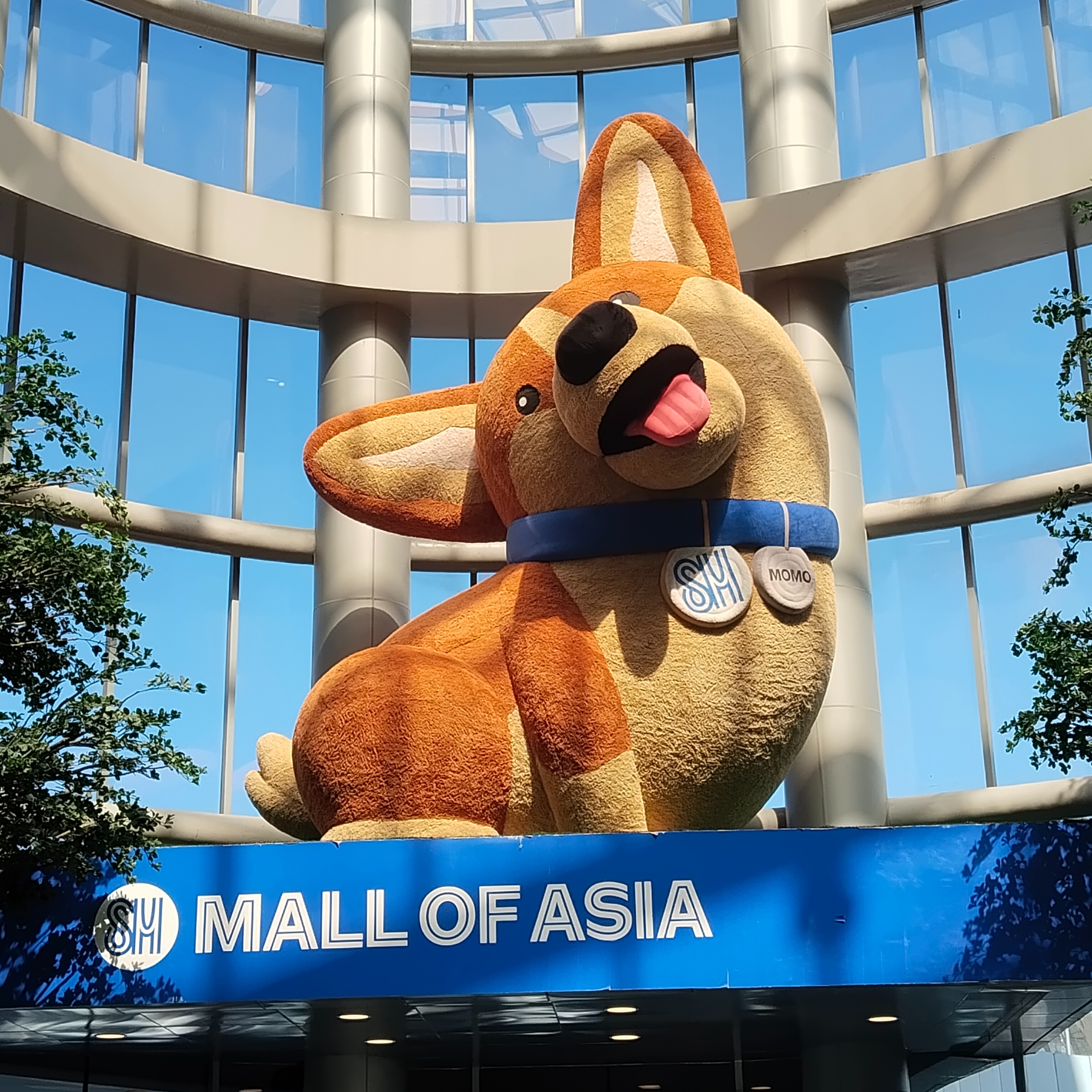 rayover_2026-03-17T14:10:11.989Z