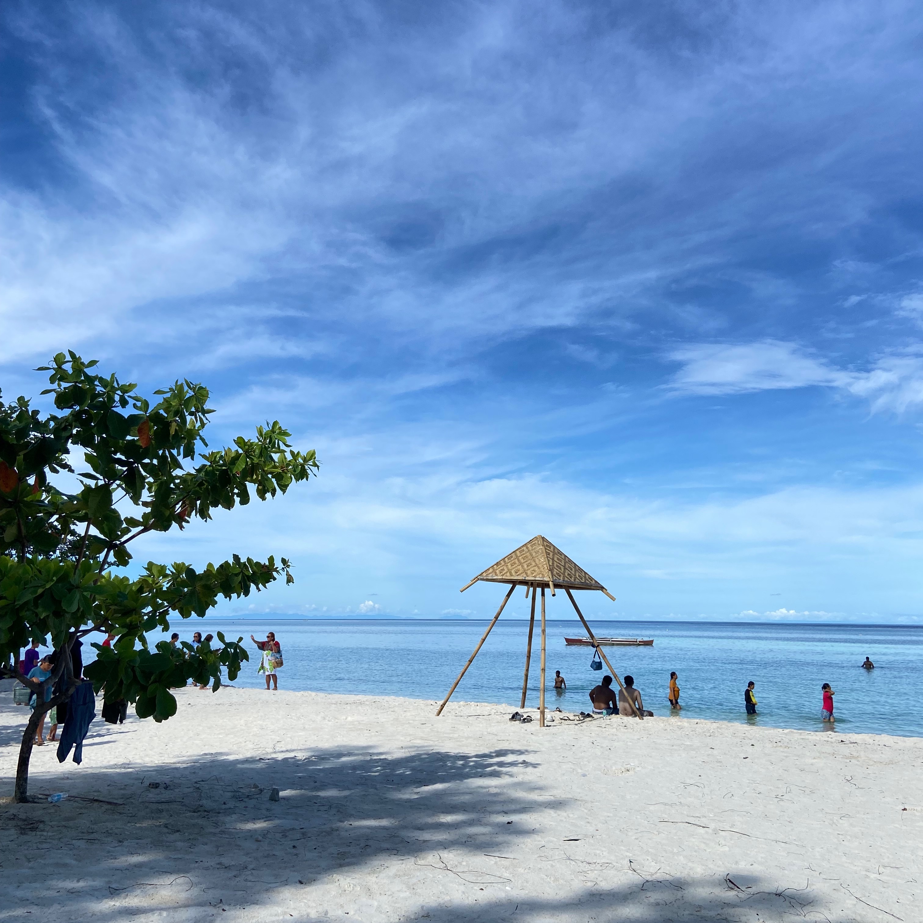 rayover_2026-03-18T00:04:30.999Z