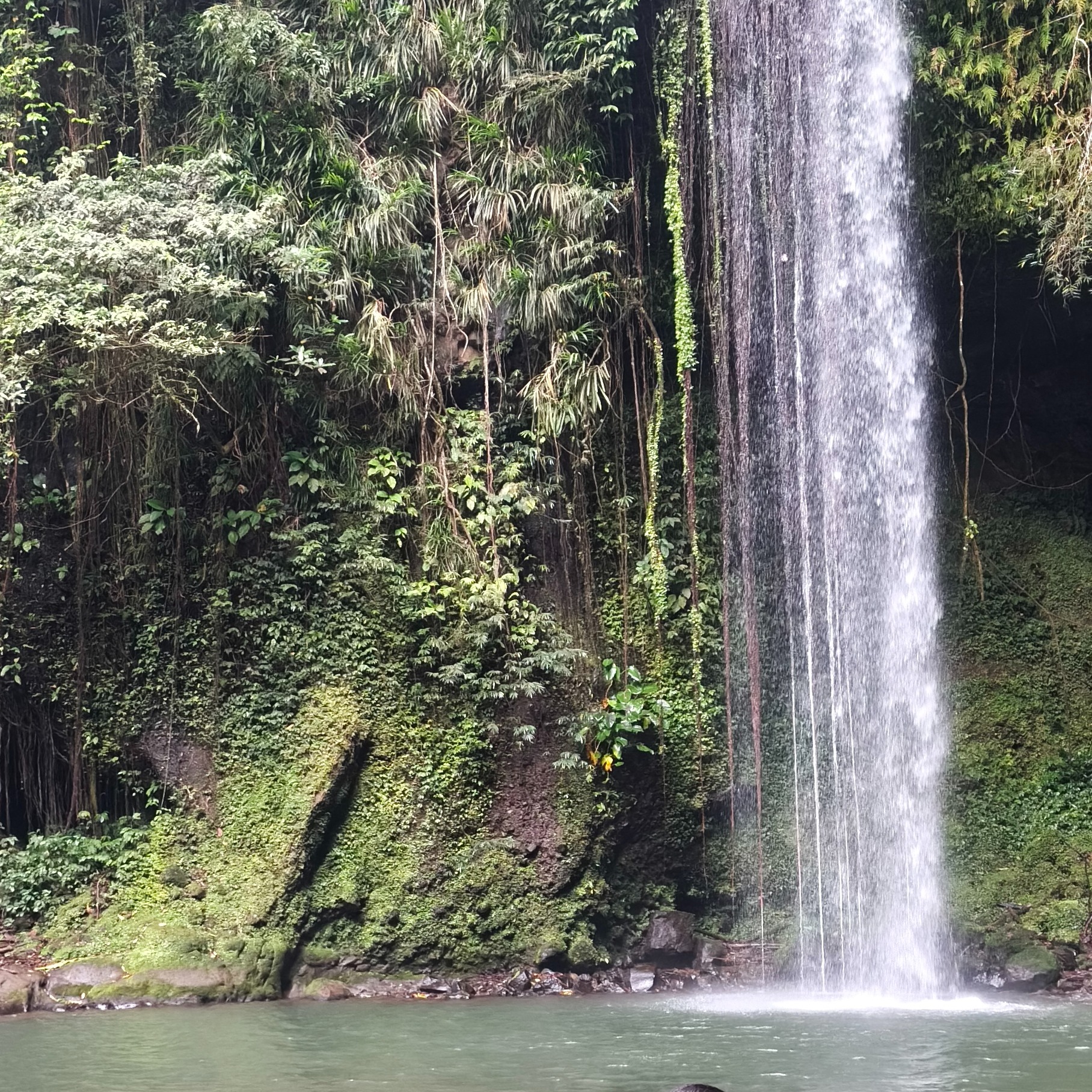 rayover_2026-03-18T18:50:03.462Z