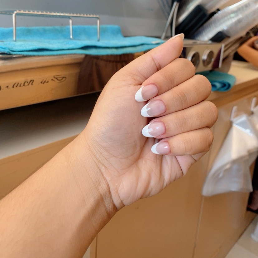 rayover_2026-03-19T04:42:32.867Z