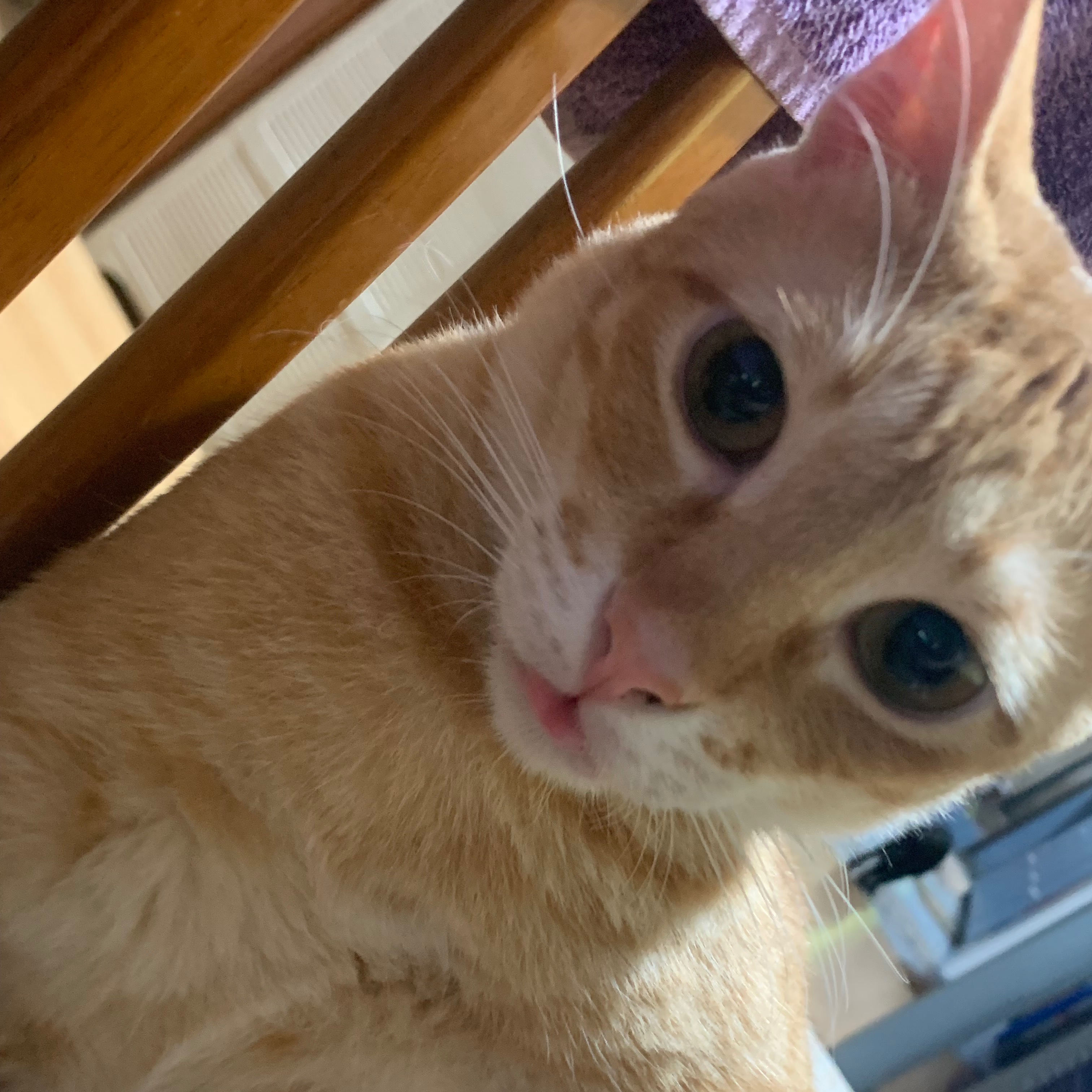 rayover_2026-03-19T06:51:15.780Z