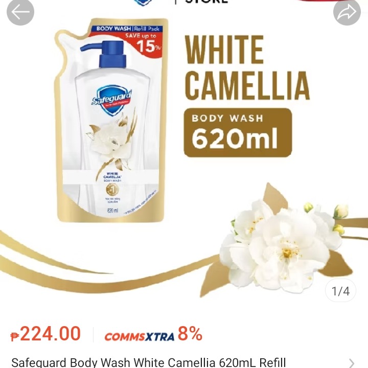 rayover_2026-03-20T02:37:12.436Z