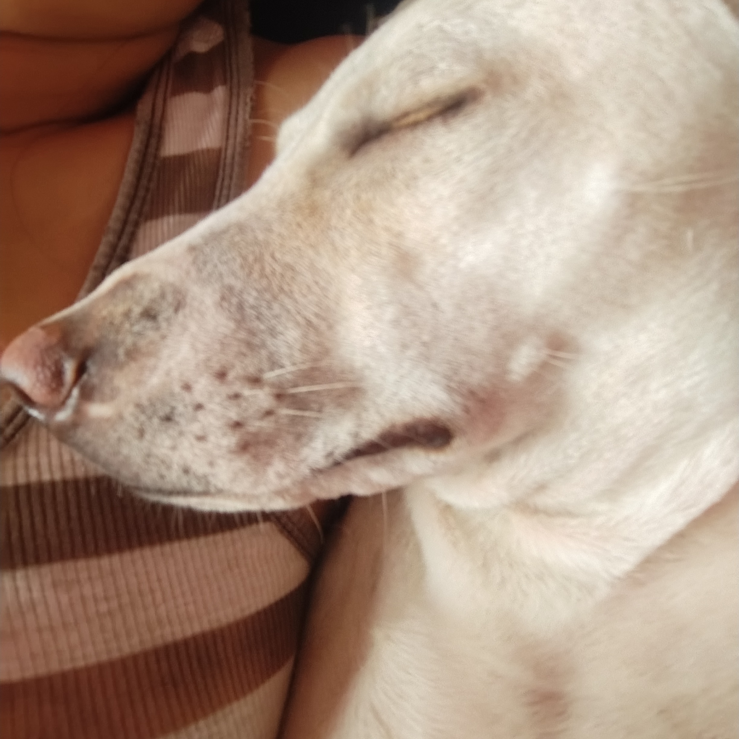 rayover_2026-03-20T03:36:00.270Z