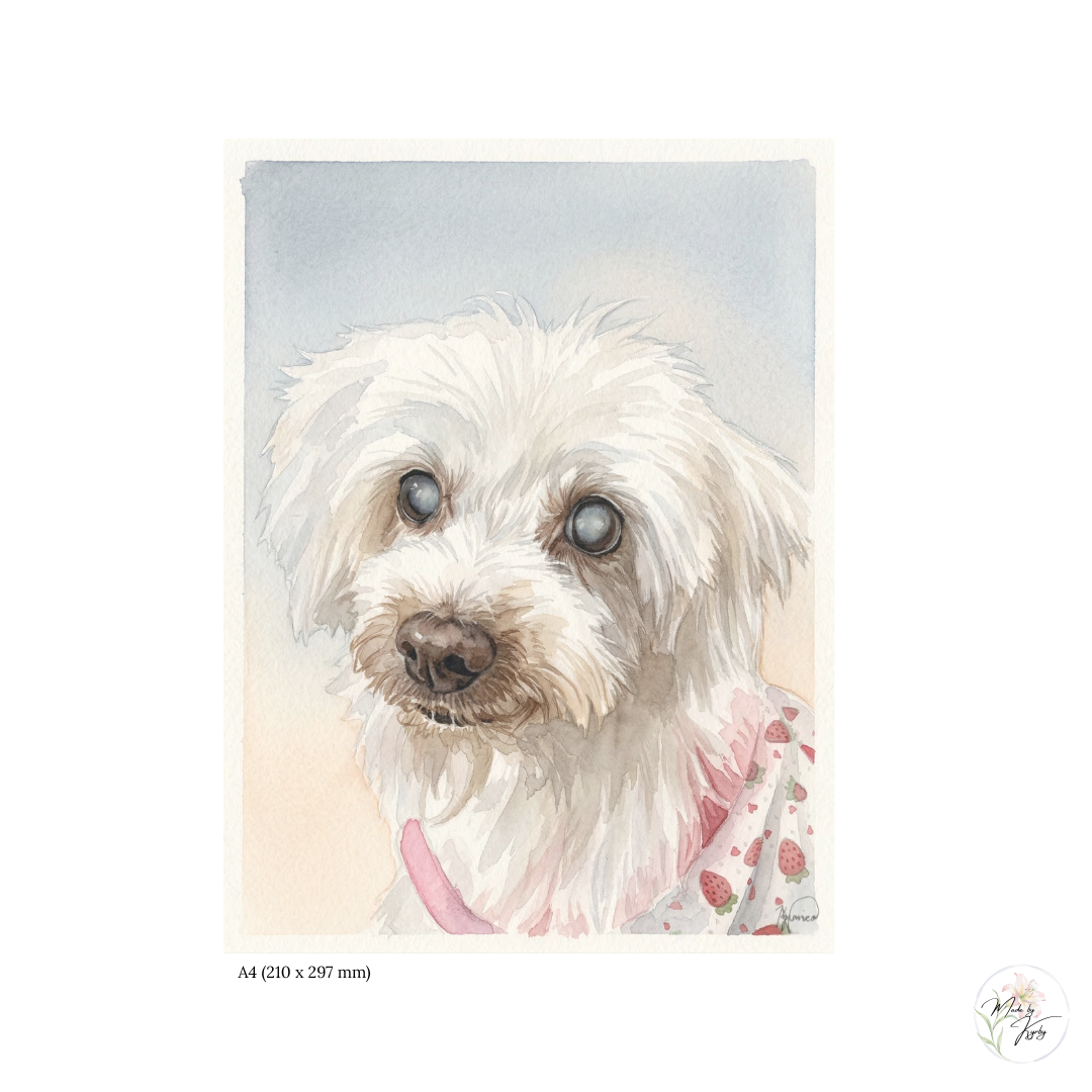 Copy of [01] SAFAD SC TEMPLATES (1).png