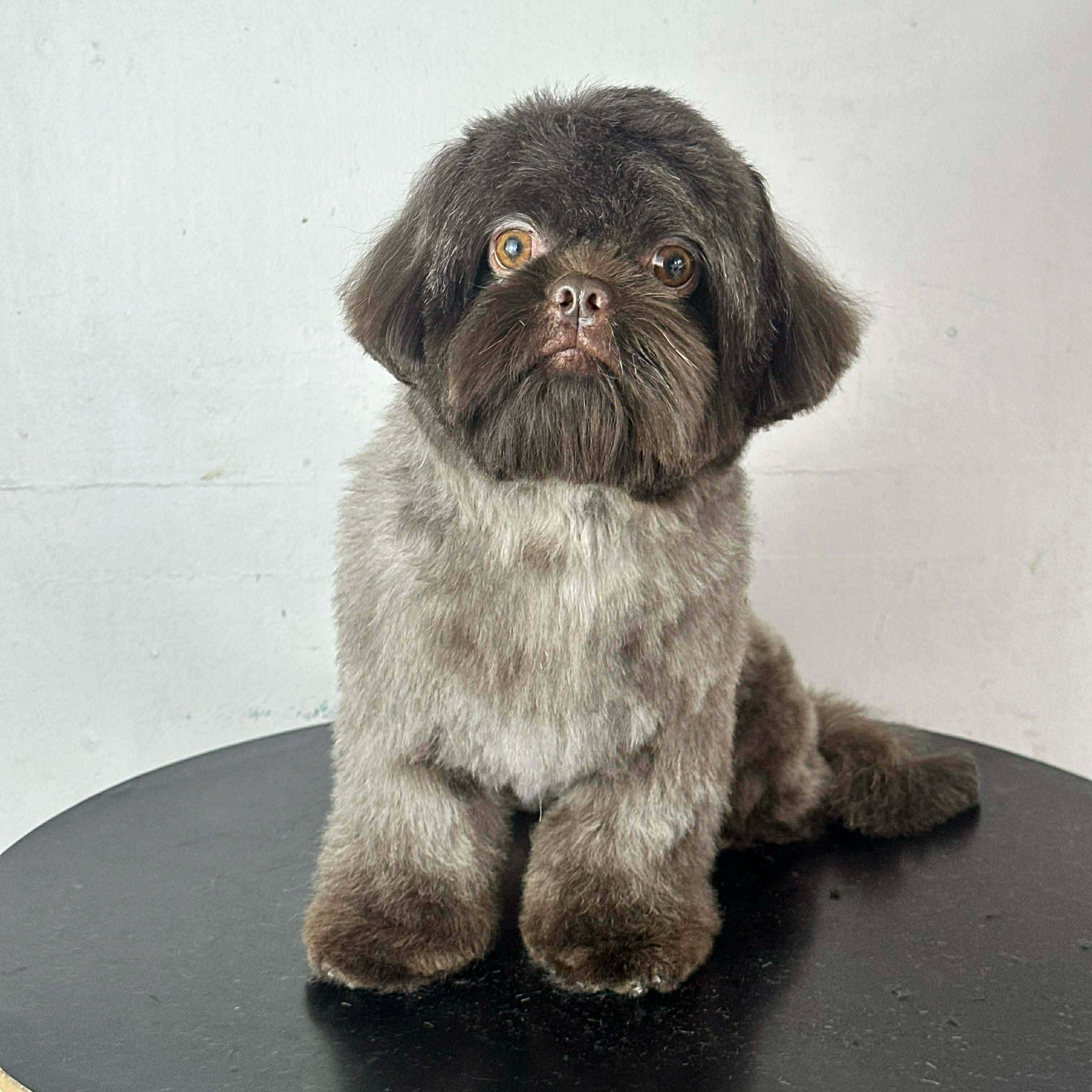 rayover_2026-03-20T21:44:05.112Z