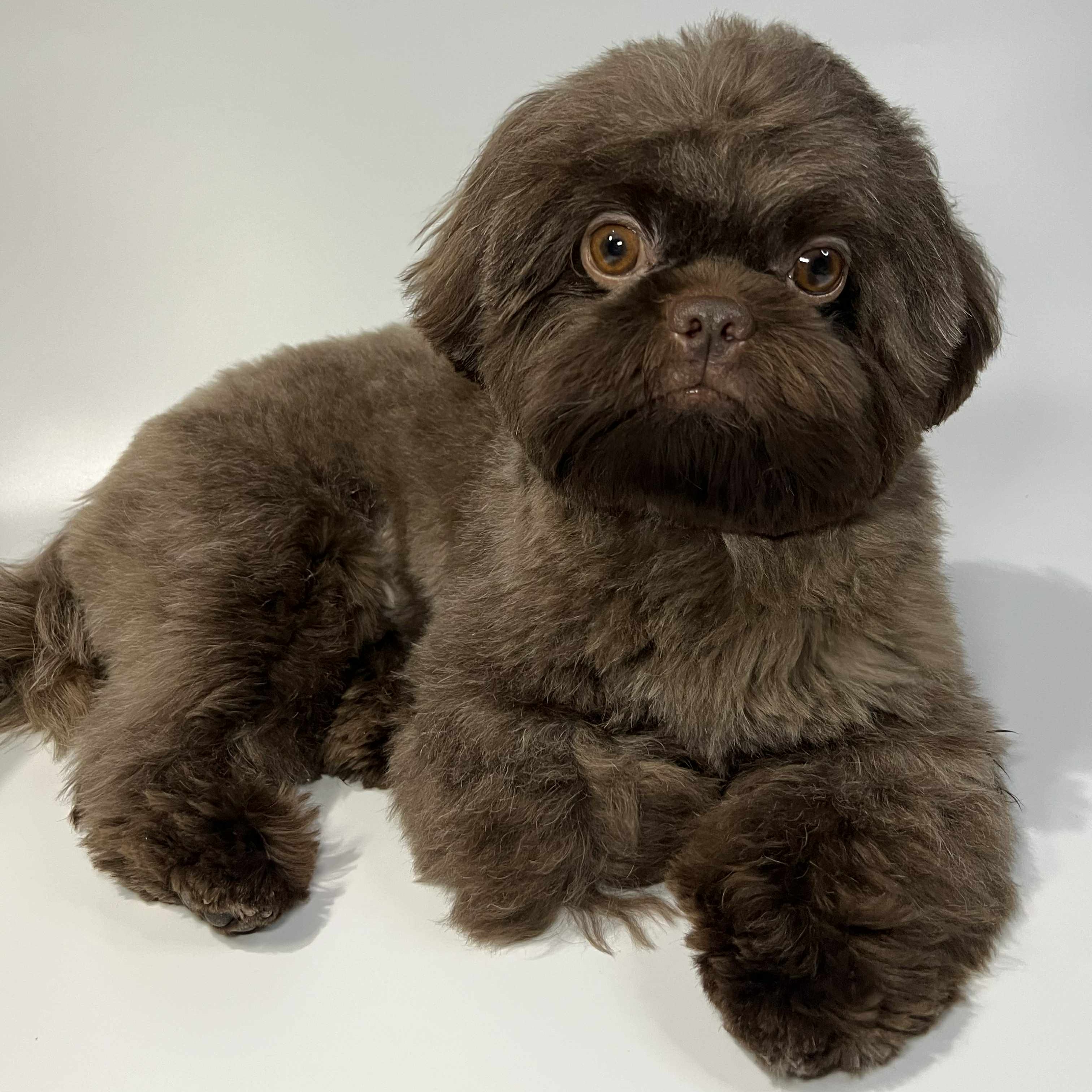 rayover_2026-03-20T21:44:12.855Z