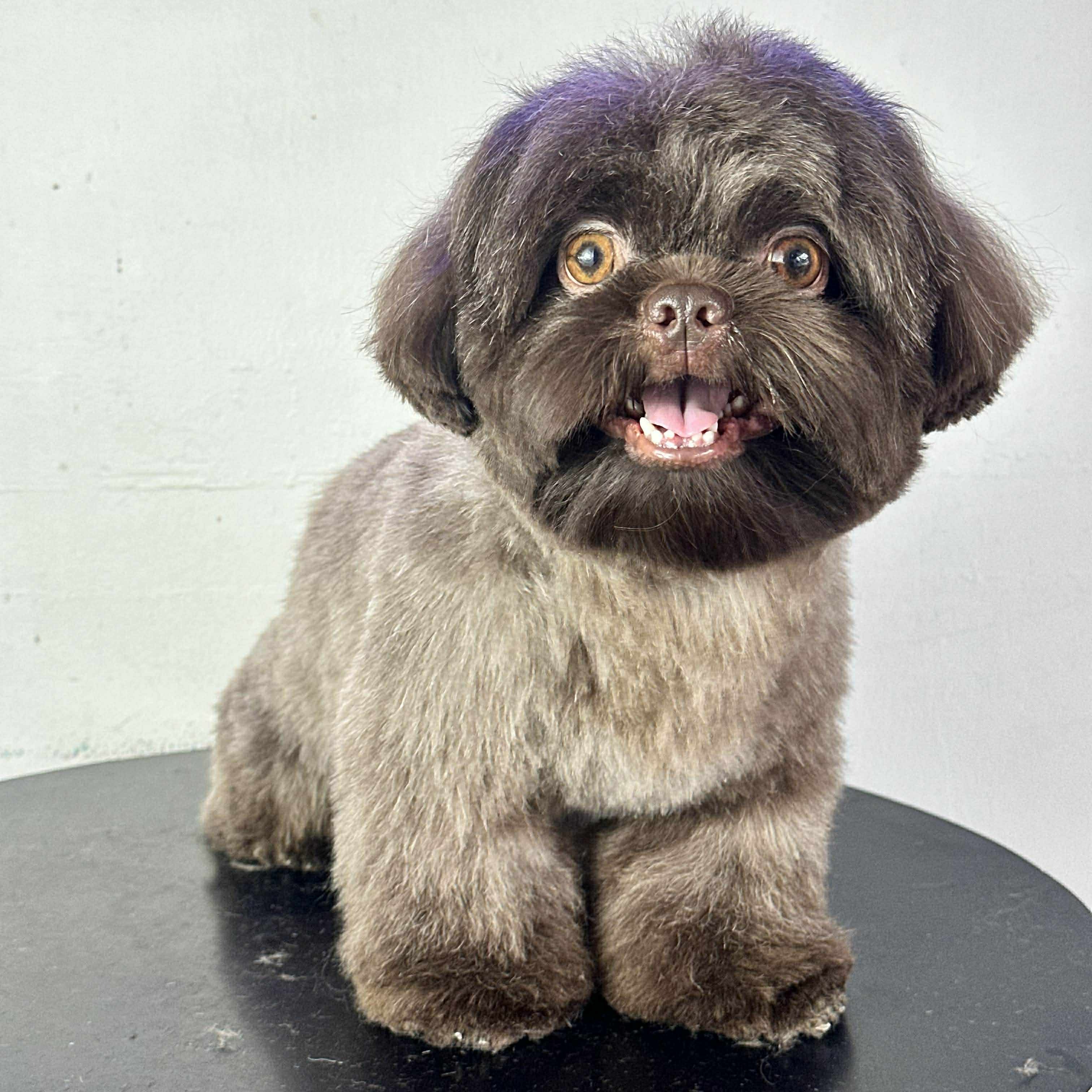 rayover_2026-03-20T21:44:19.715Z