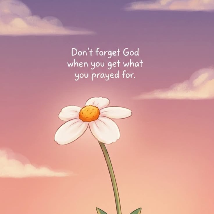 rayover_2026-03-21T16:18:50.803Z