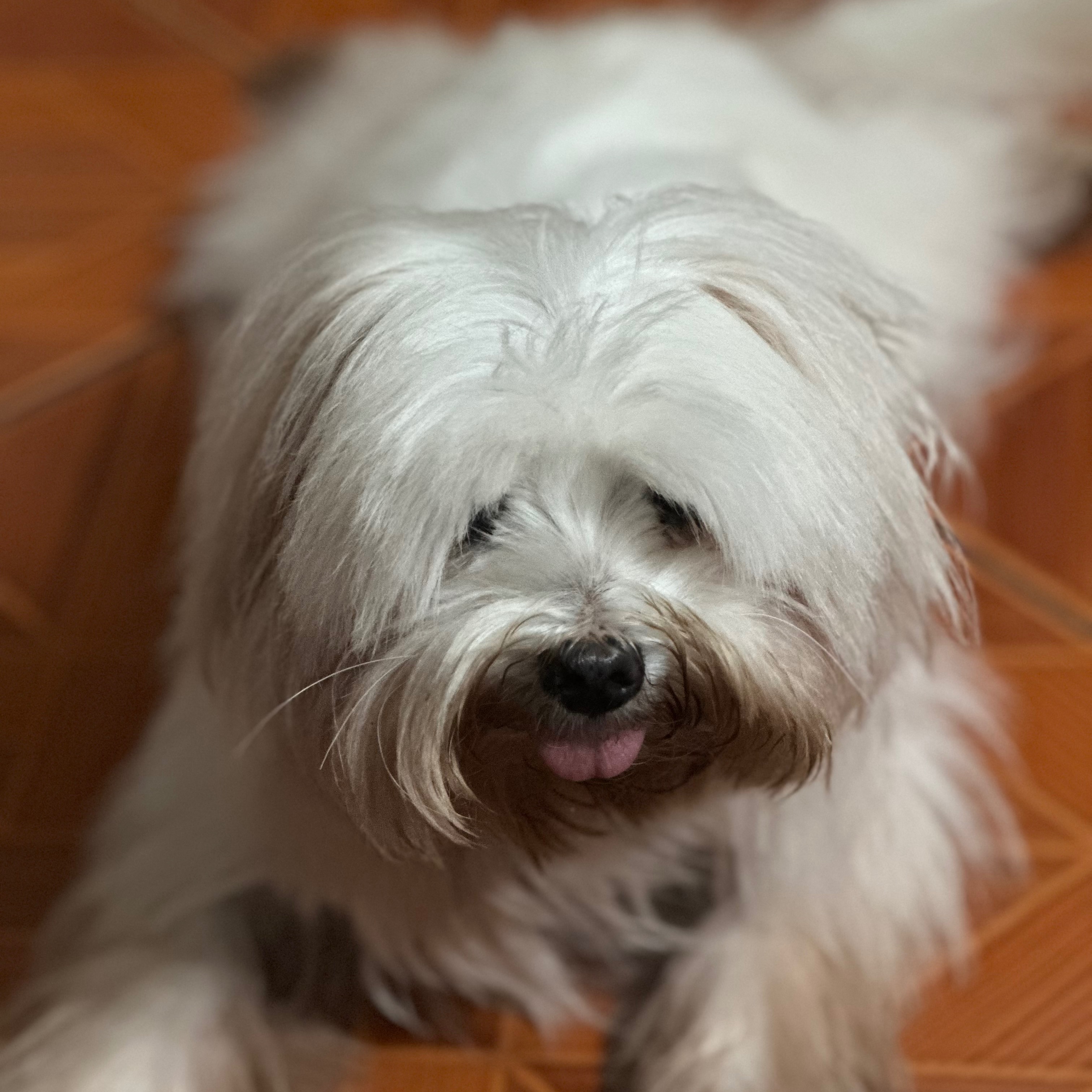 rayover_2026-03-23T03:38:36.461Z