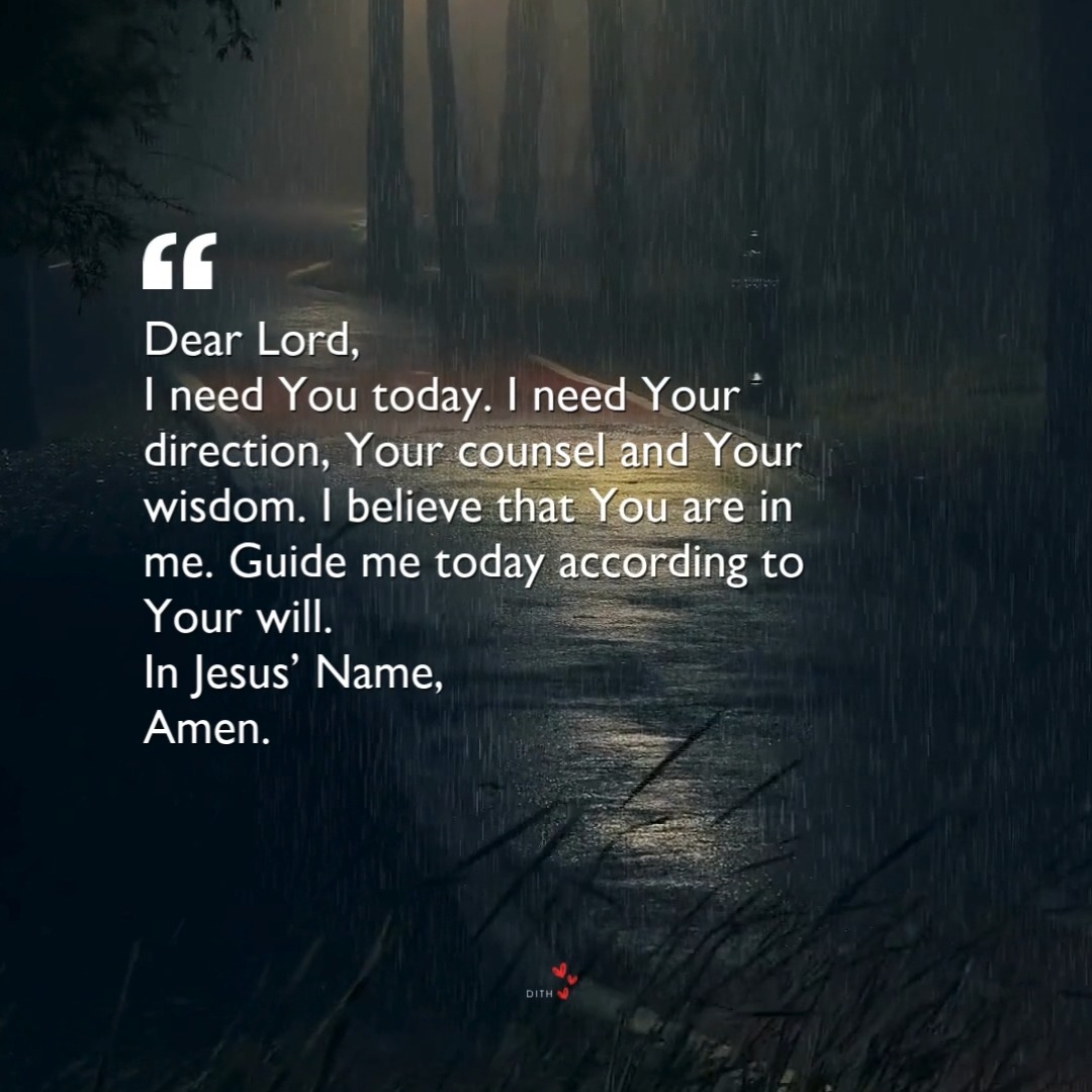 rayover_2026-03-23T04:56:43.376Z