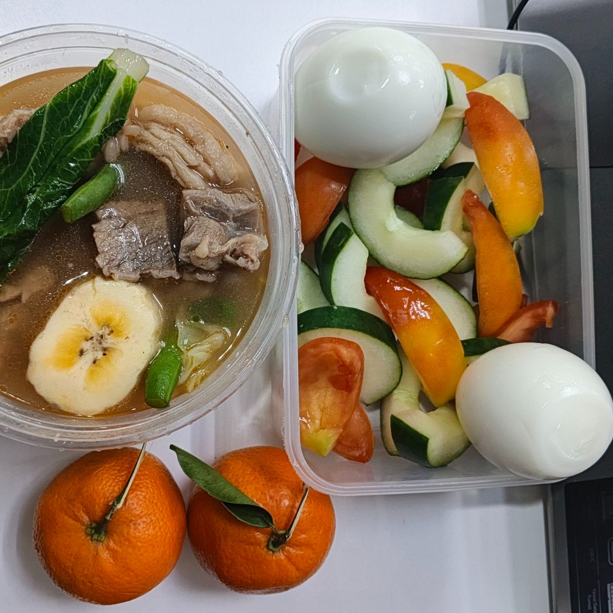 rayover_2026-03-23T05:16:56.005Z