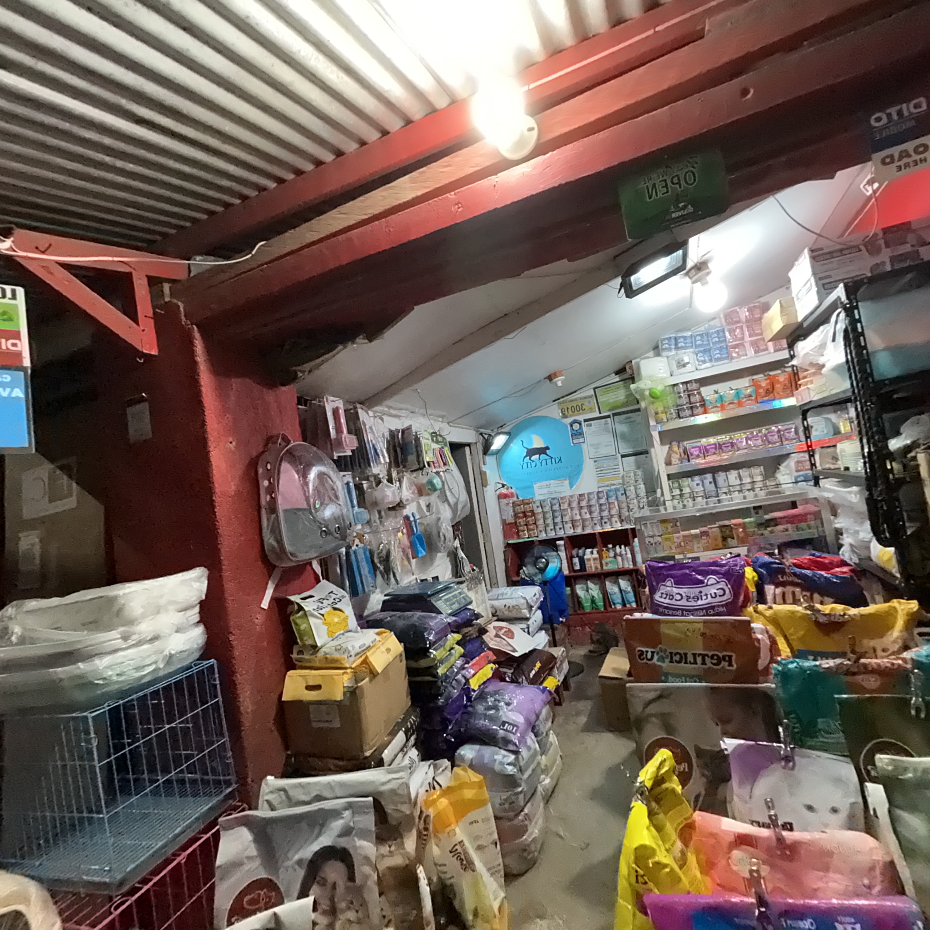 rayover_2026-03-23T11:53:27.577Z