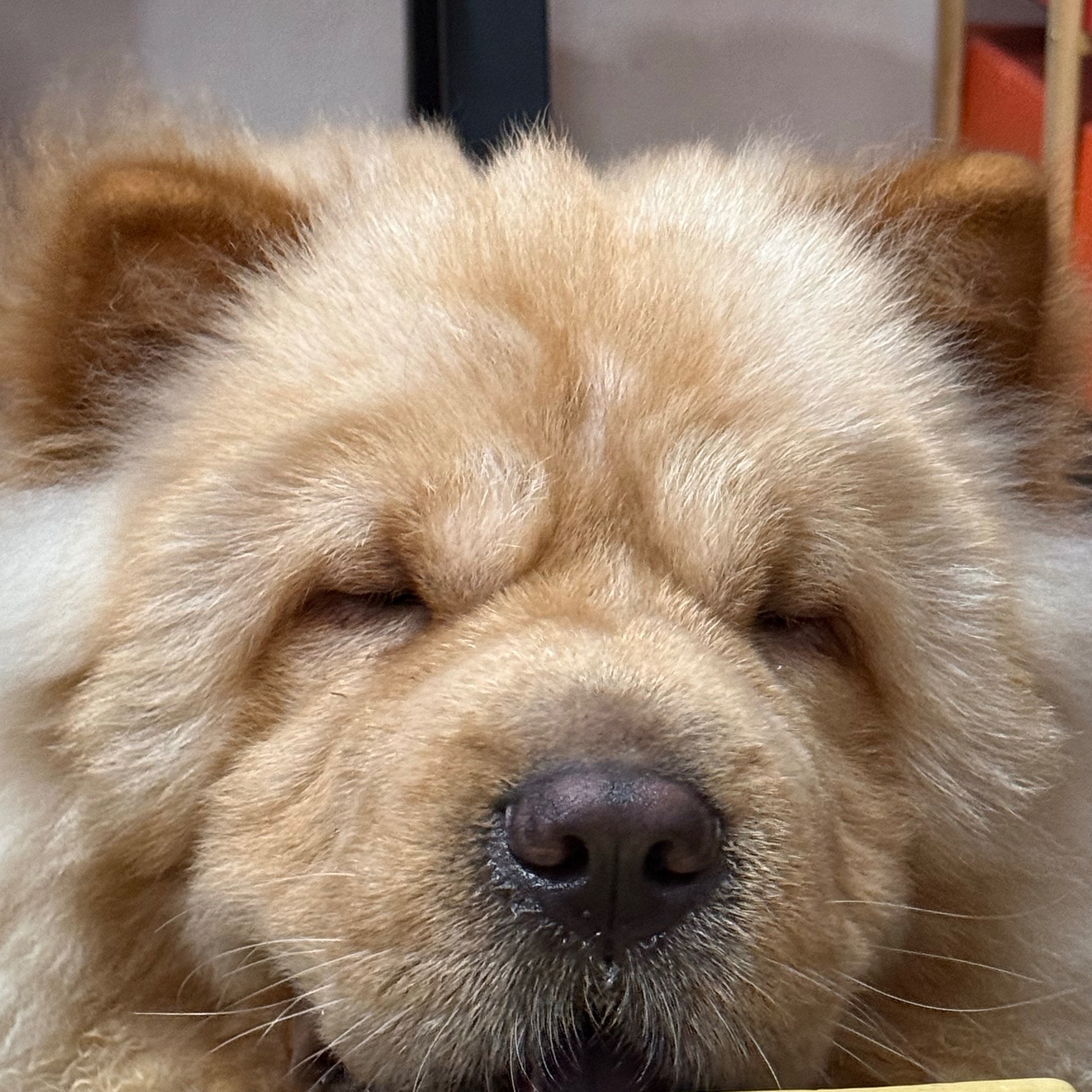 rayover_2026-03-23T19:42:50.145Z