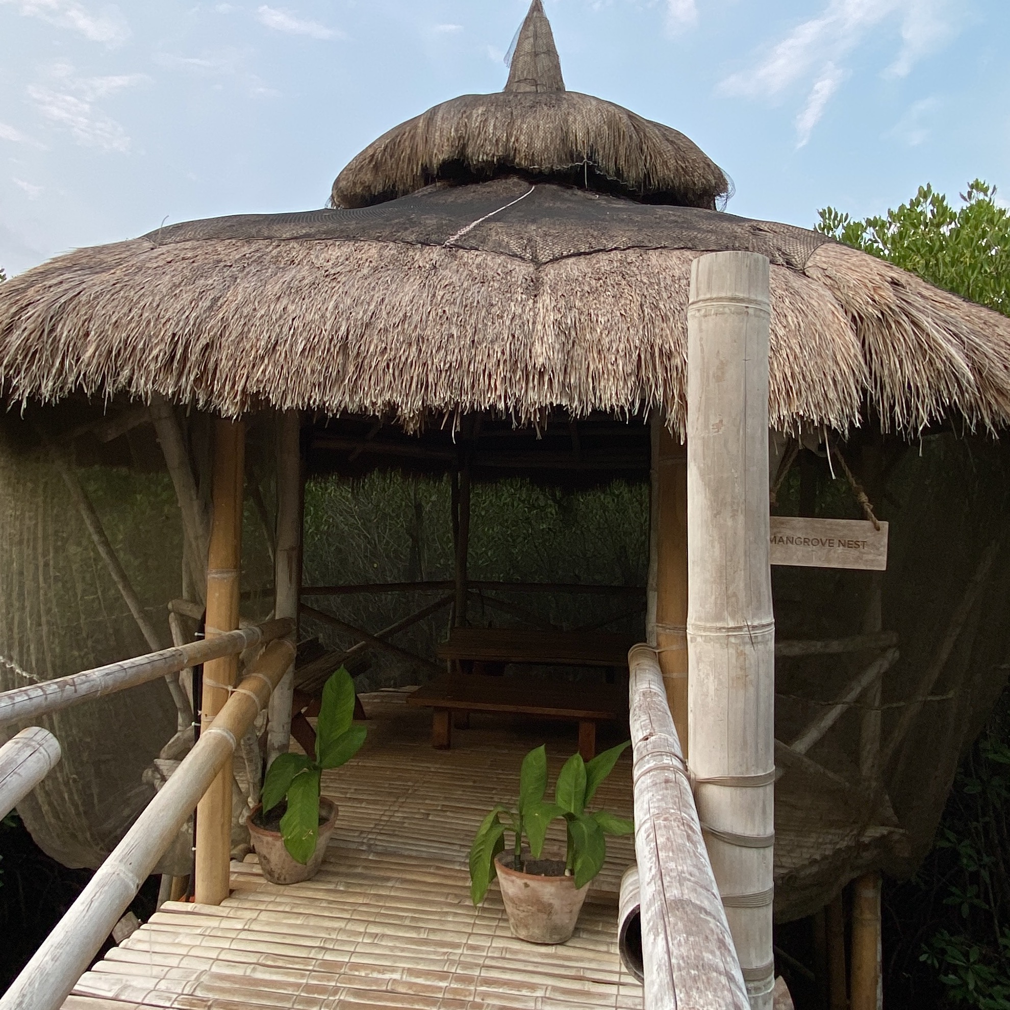 rayover_2026-03-23T23:57:53.015Z