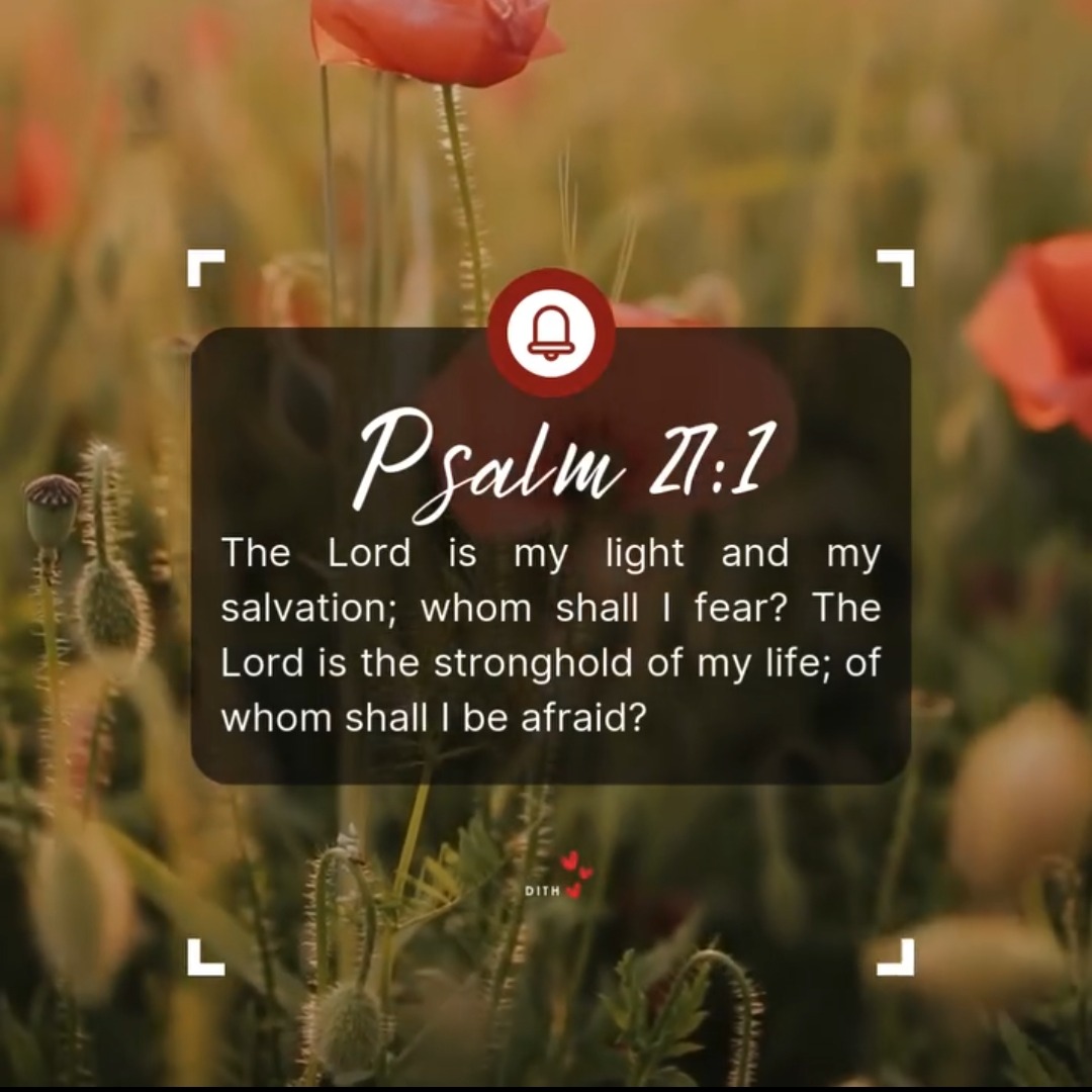 rayover_2026-03-24T06:13:11.342Z