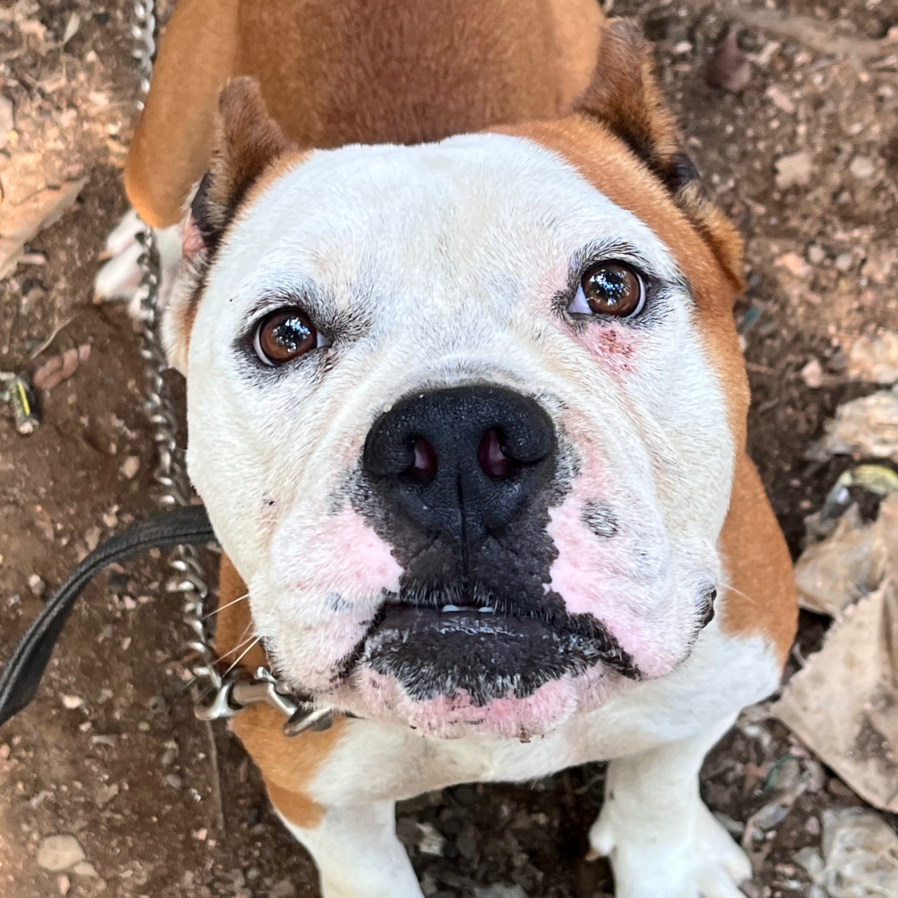 rayover_2026-03-24T18:06:34.522Z