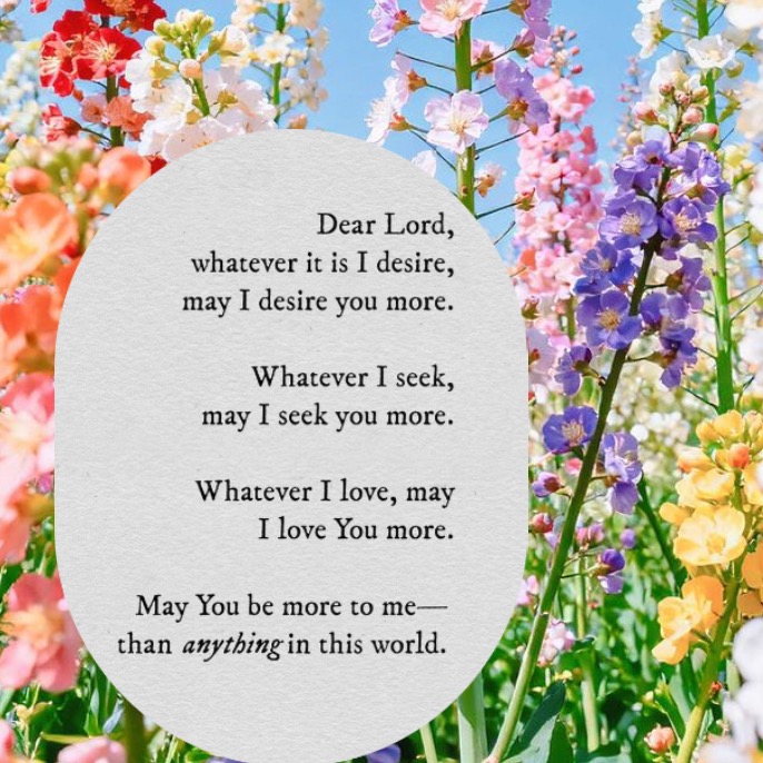 rayover_2026-03-25T21:49:20.368Z