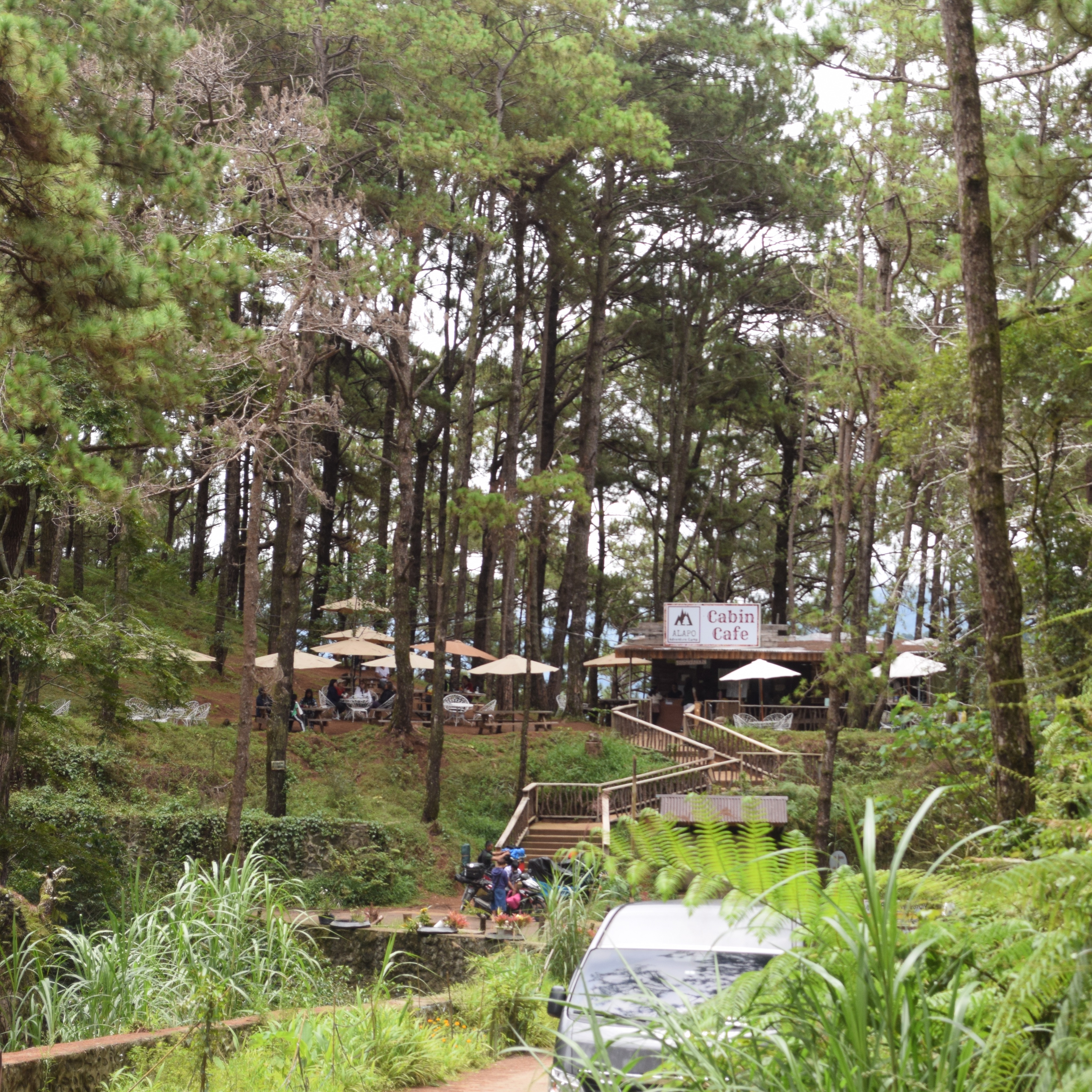 rayover_2026-03-29T05:24:09.788Z