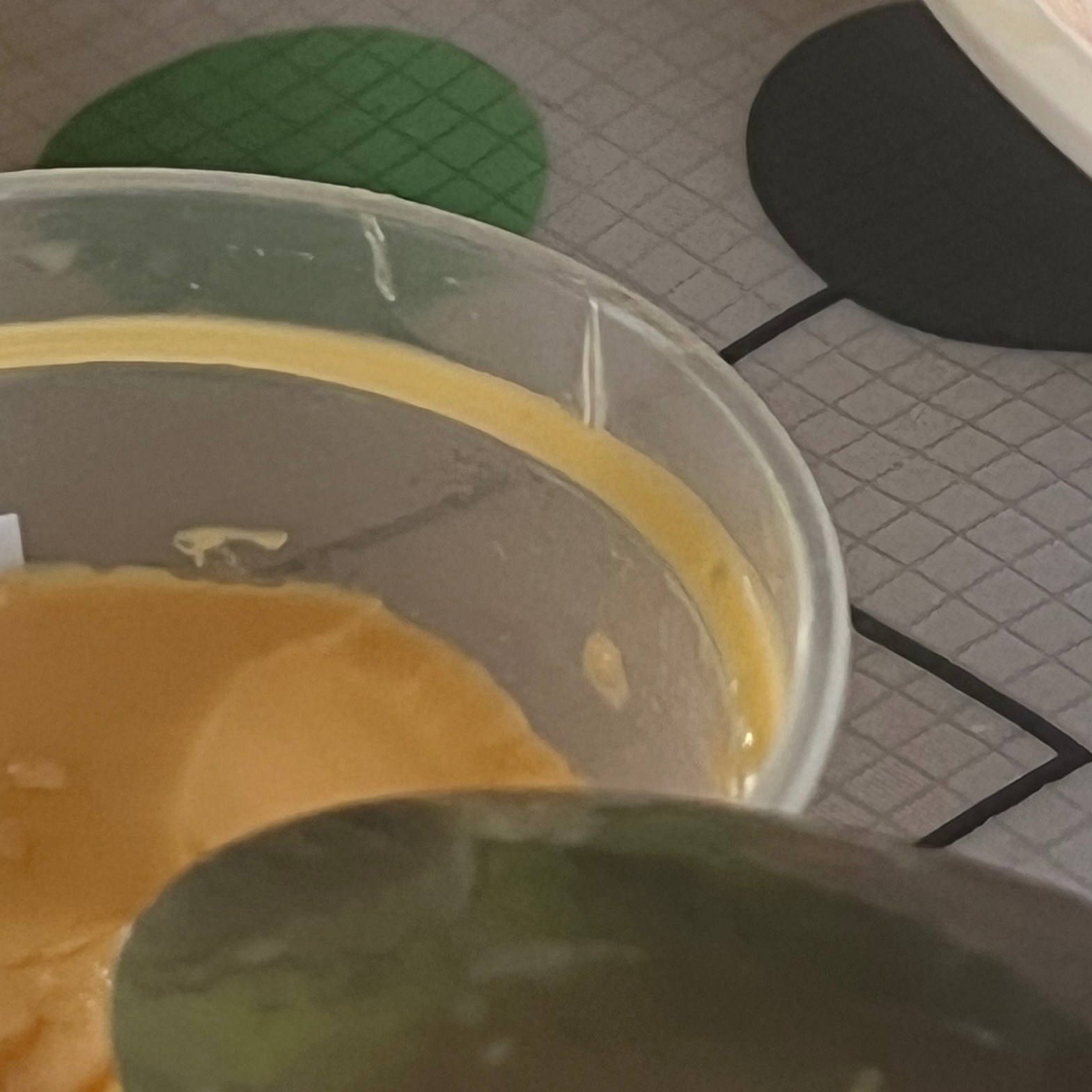 rayover_2026-03-30T05:38:34.629Z