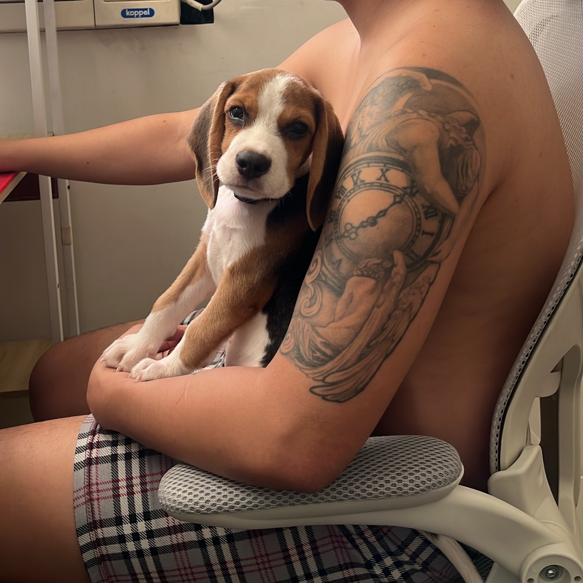 rayover_2026-03-30T21:25:35.921Z