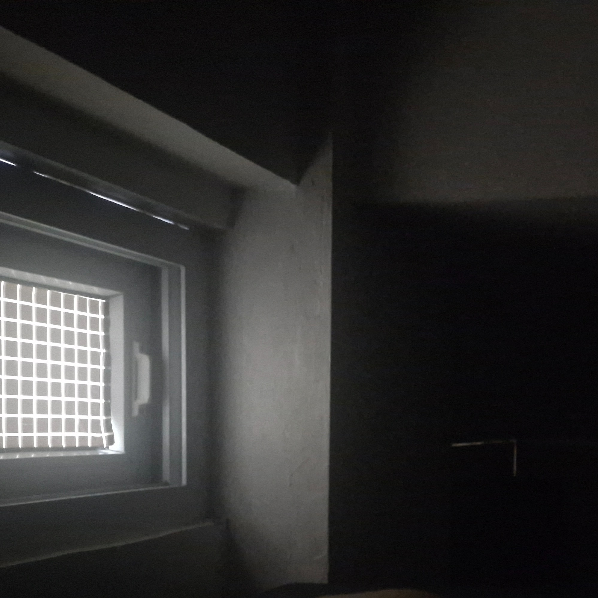 rayover_2026-03-31T02:32:51.009Z