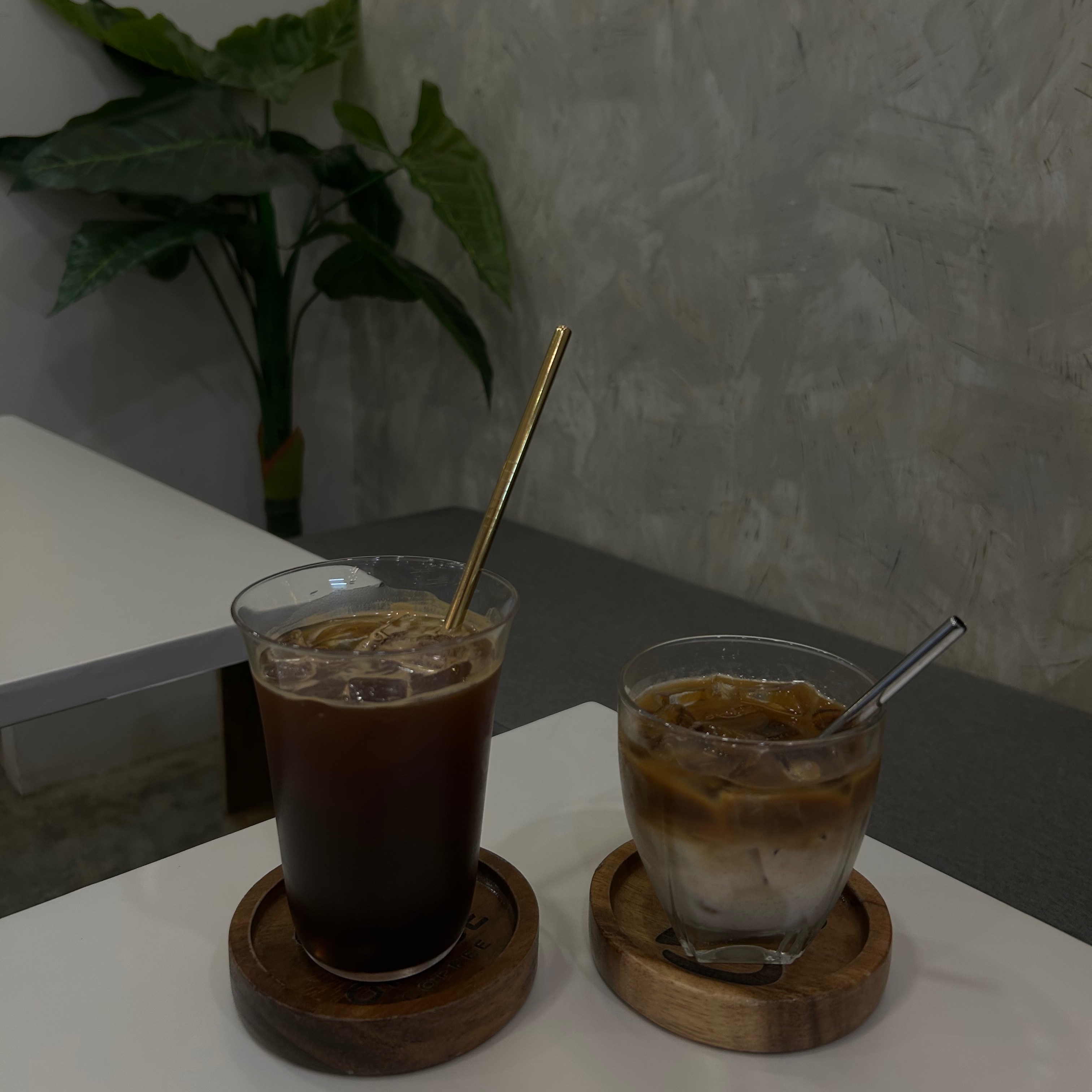 rayover_2026-04-01T06:49:00.530Z