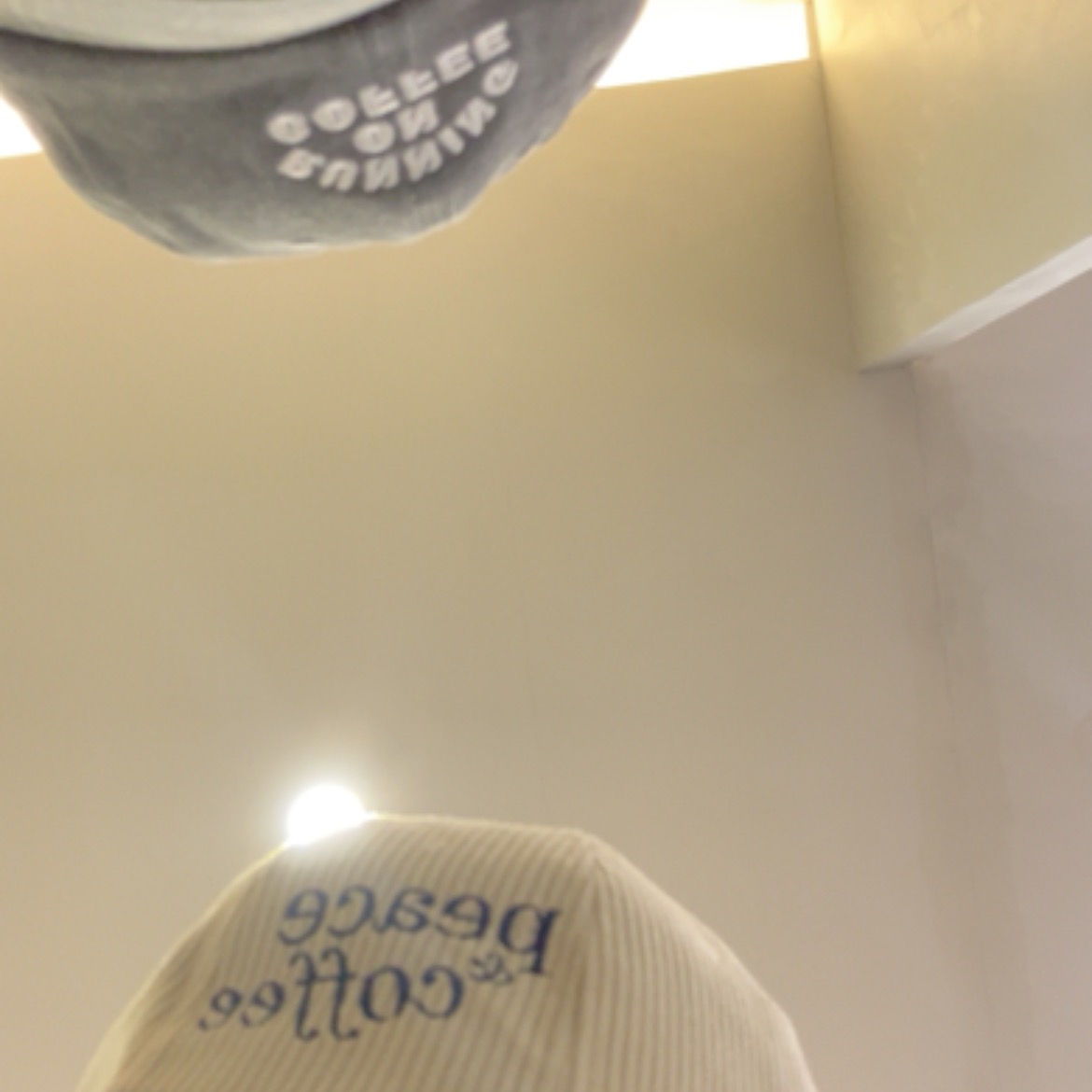 rayover_2026-04-01T06:49:08.260Z