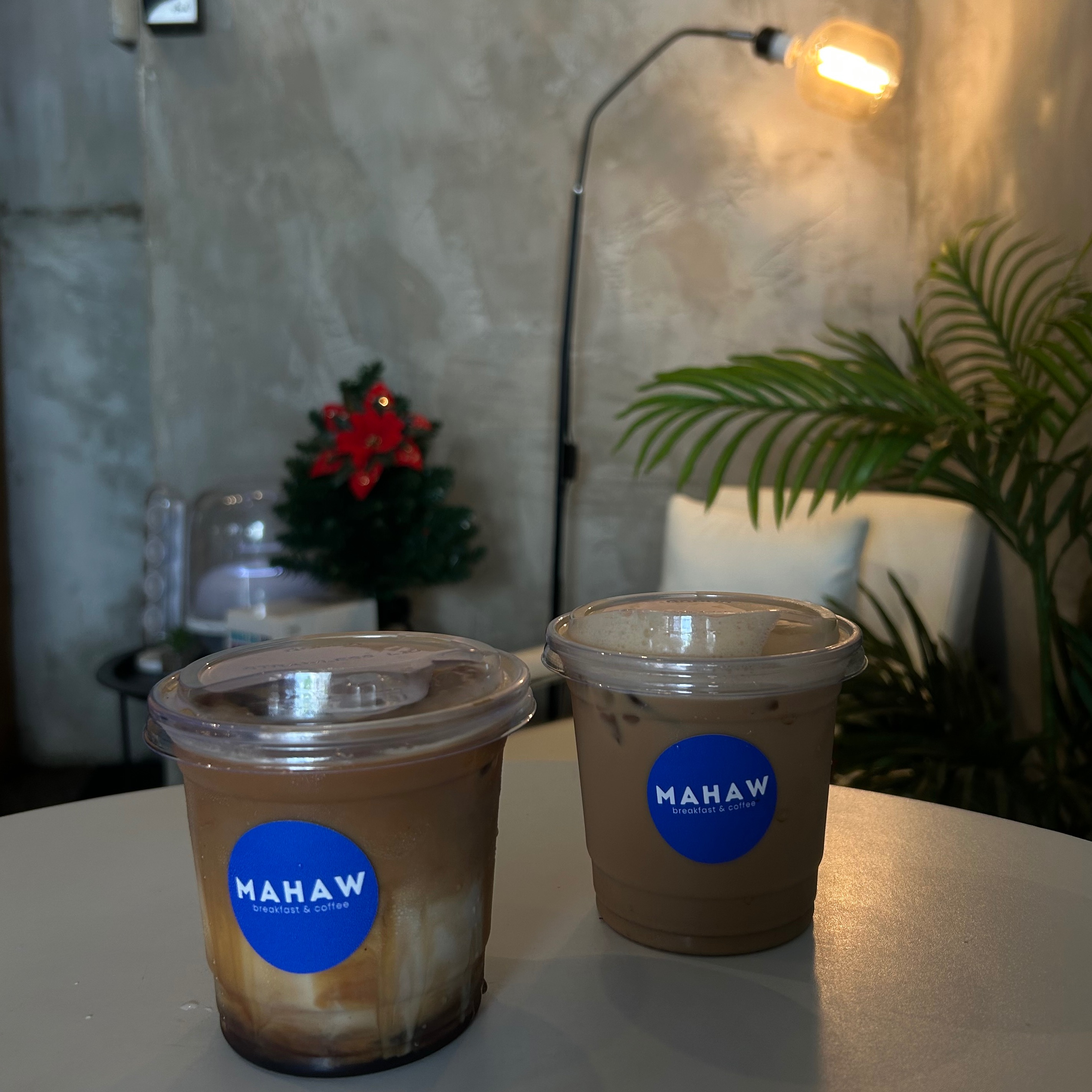 rayover_2026-04-01T06:53:39.745Z