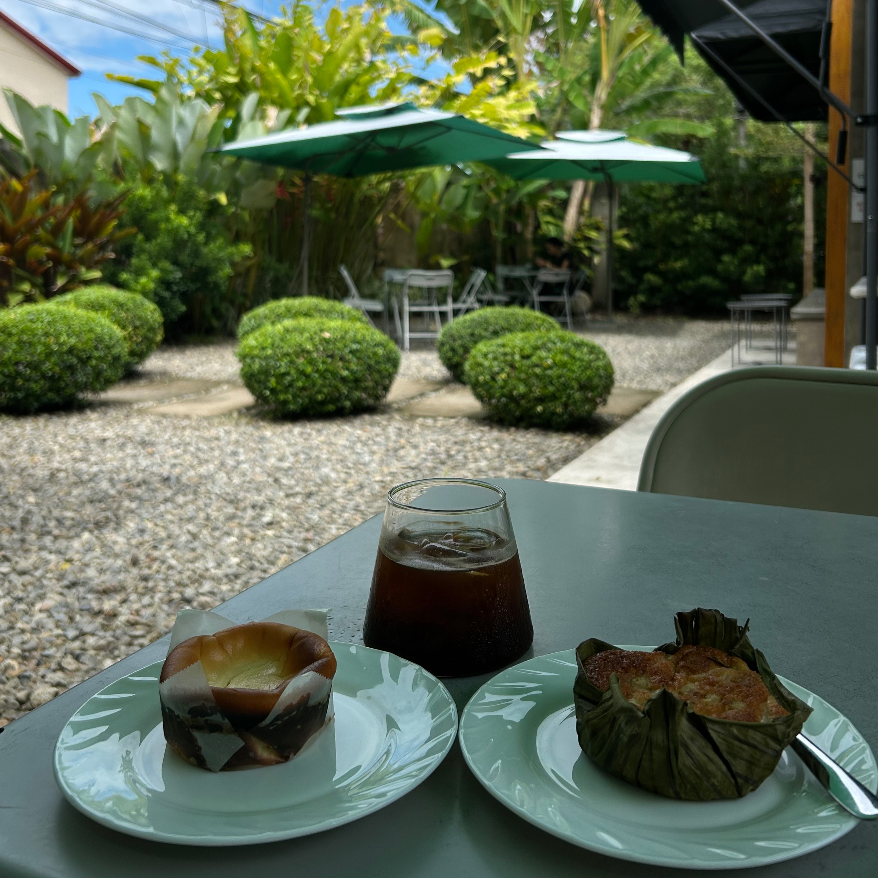 rayover_2026-04-01T07:24:24.582Z