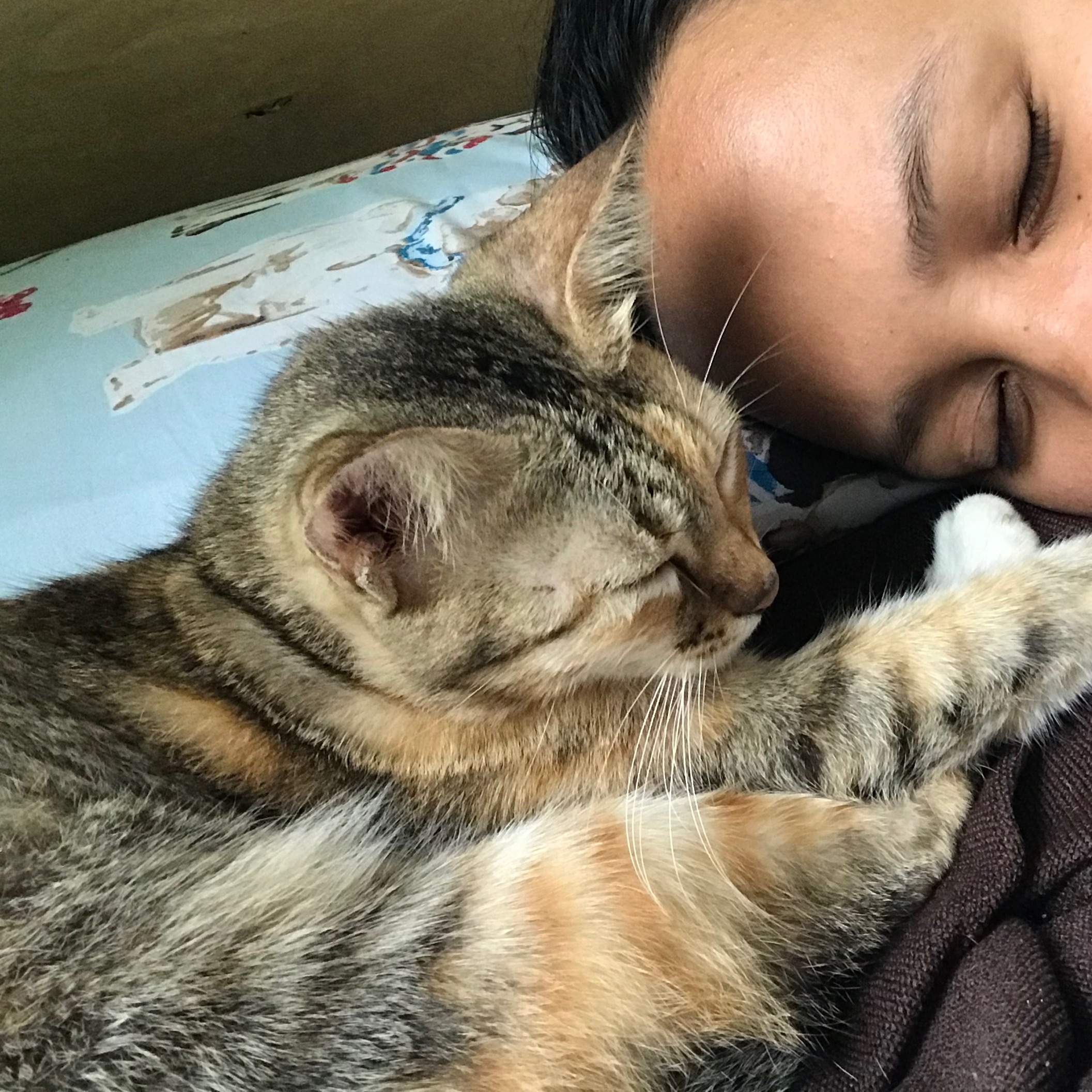 rayover_2026-04-01T08:44:23.705Z