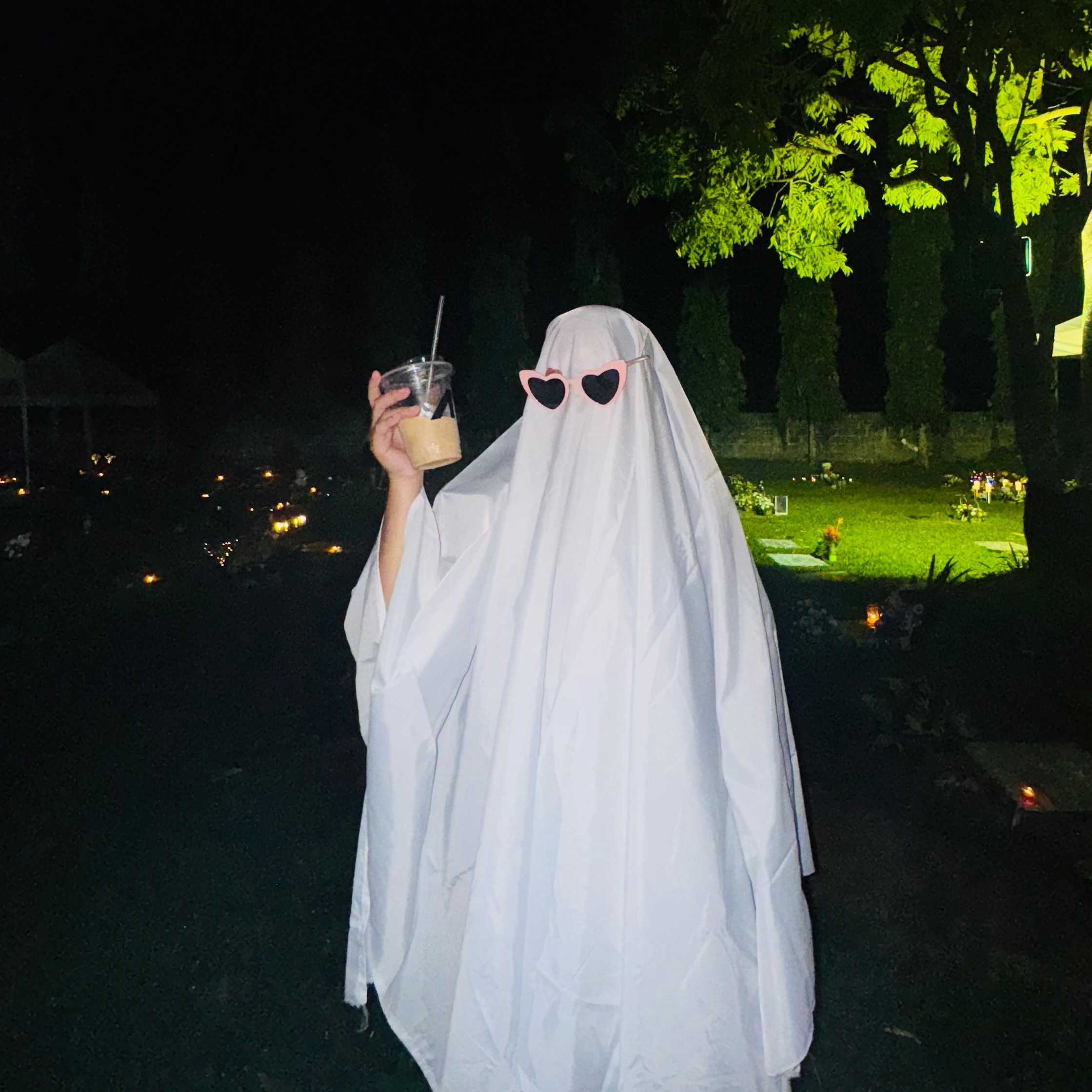 rayover_2026-04-01T09:25:40.429Z