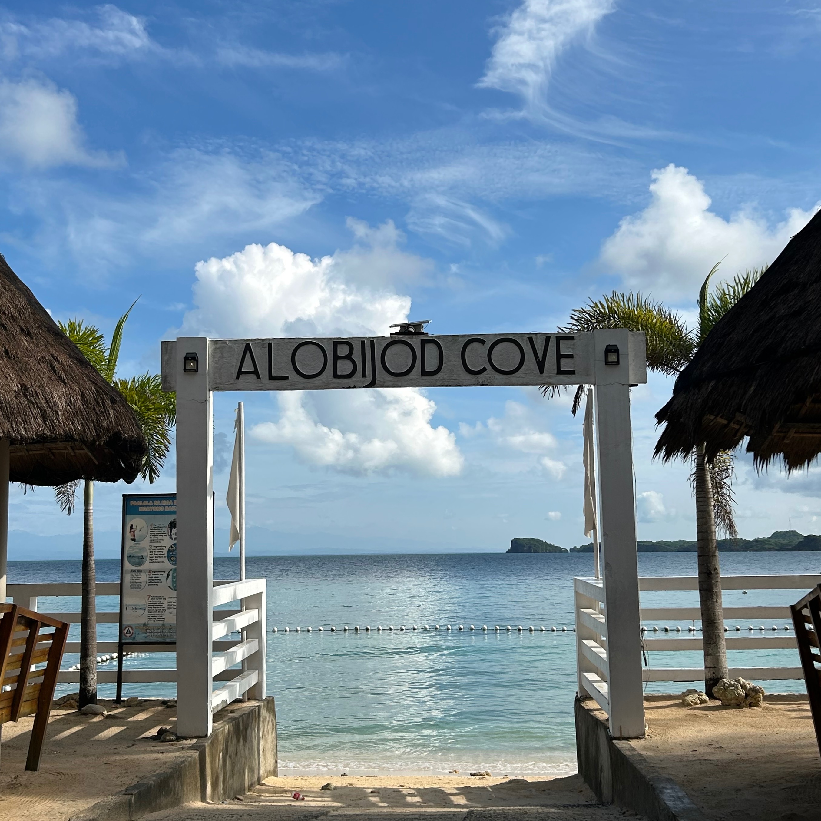 rayover_2026-04-01T14:53:51.215Z