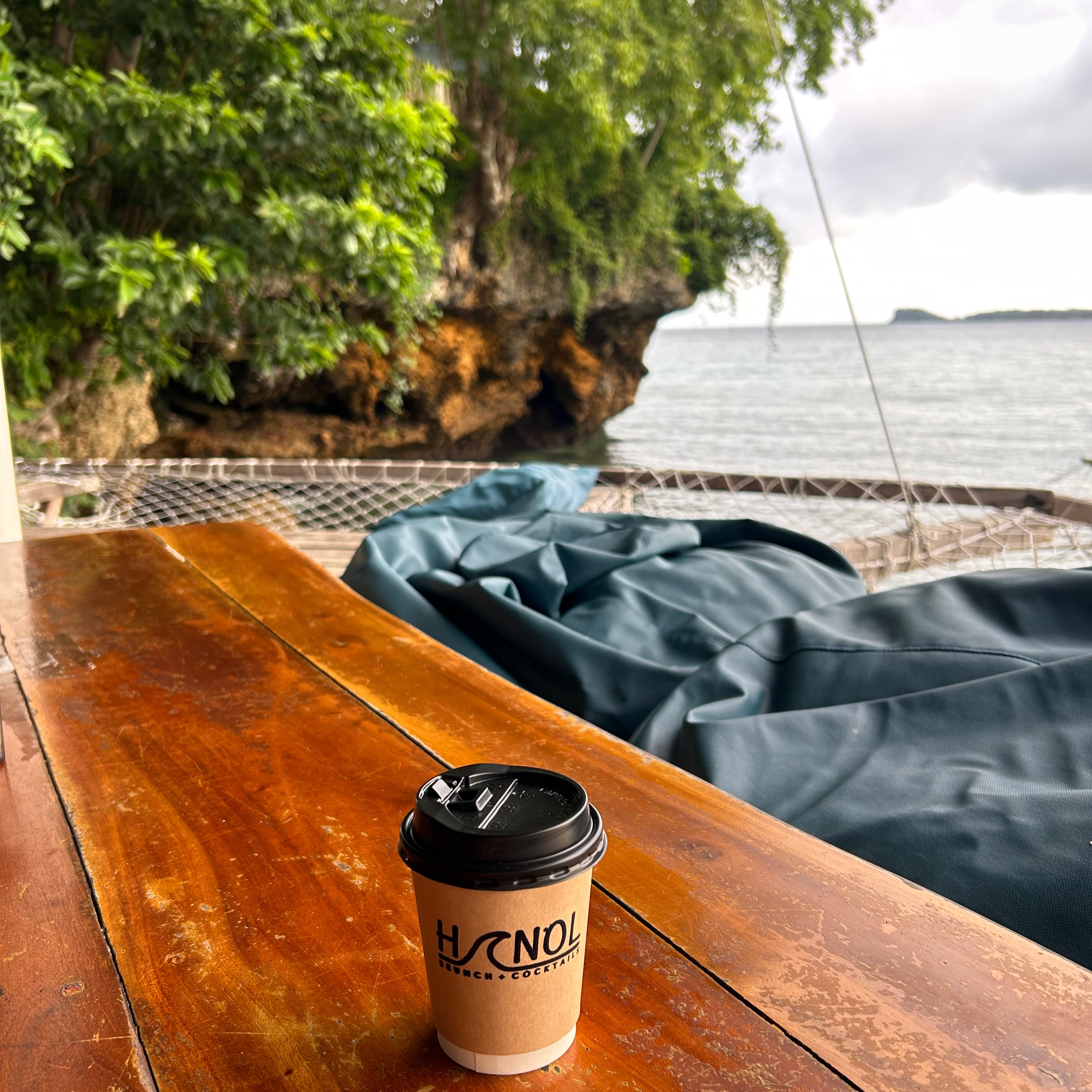 rayover_2026-04-01T14:54:42.748Z