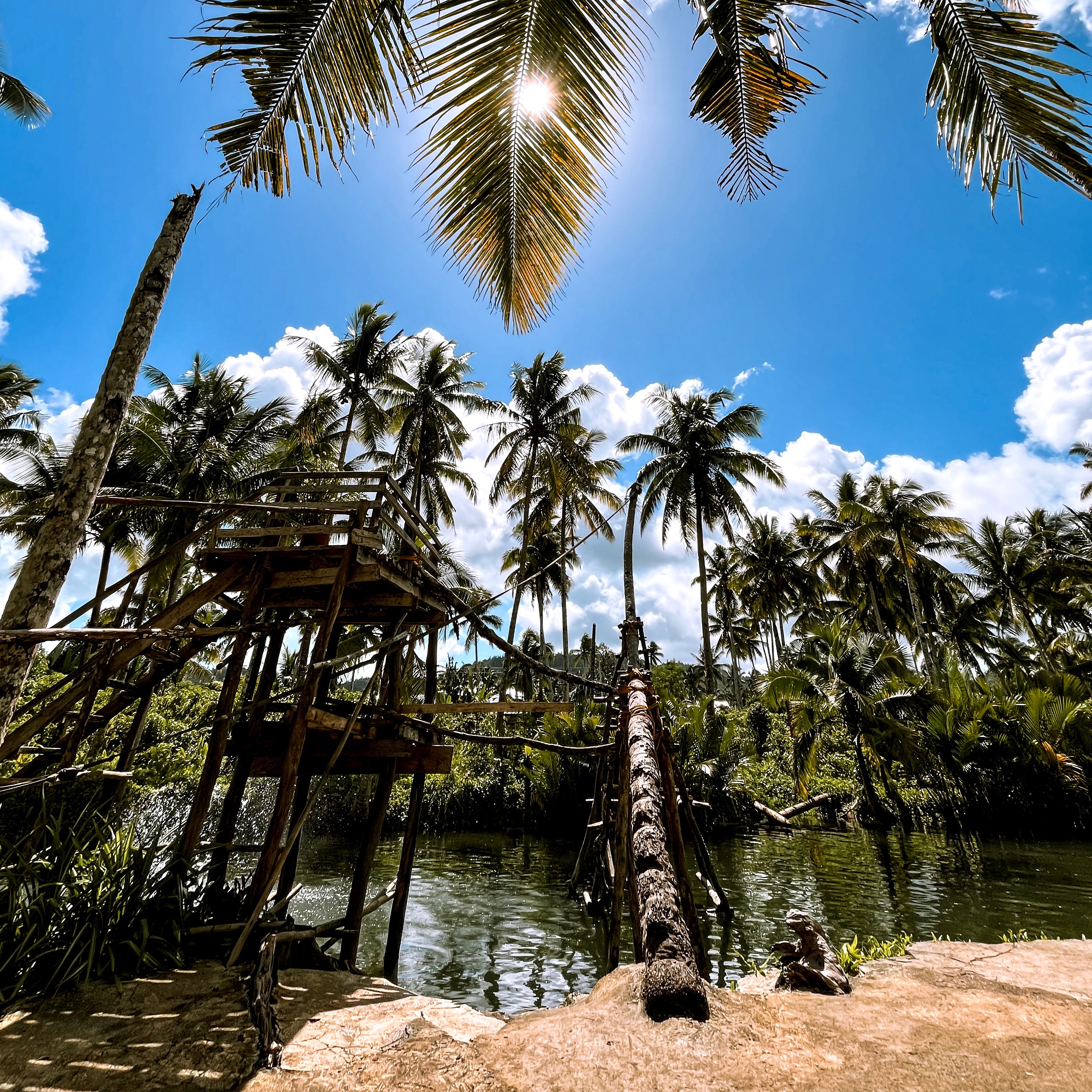 rayover_2026-04-01T18:30:58.060Z