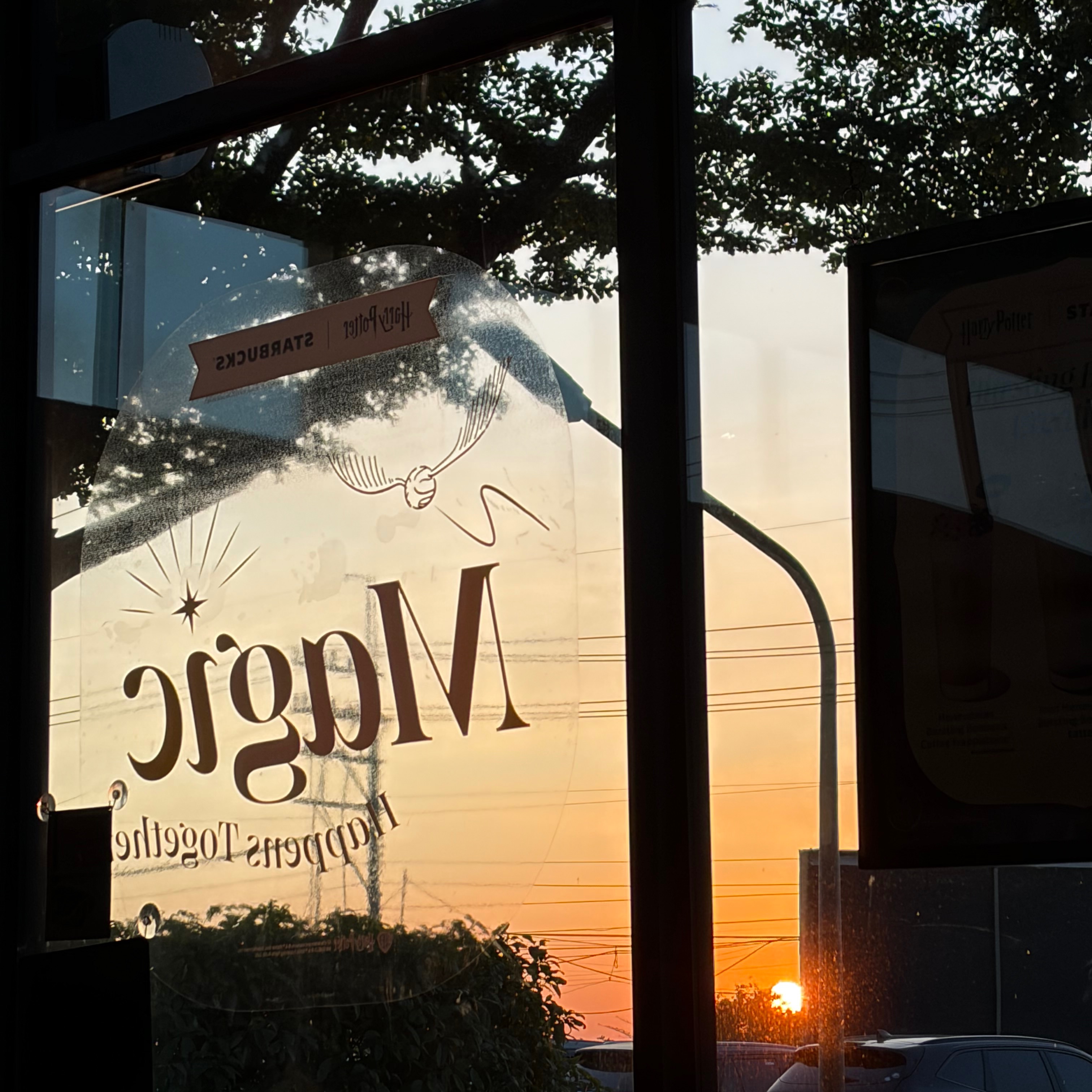 rayover_2026-04-02T01:35:32.850Z