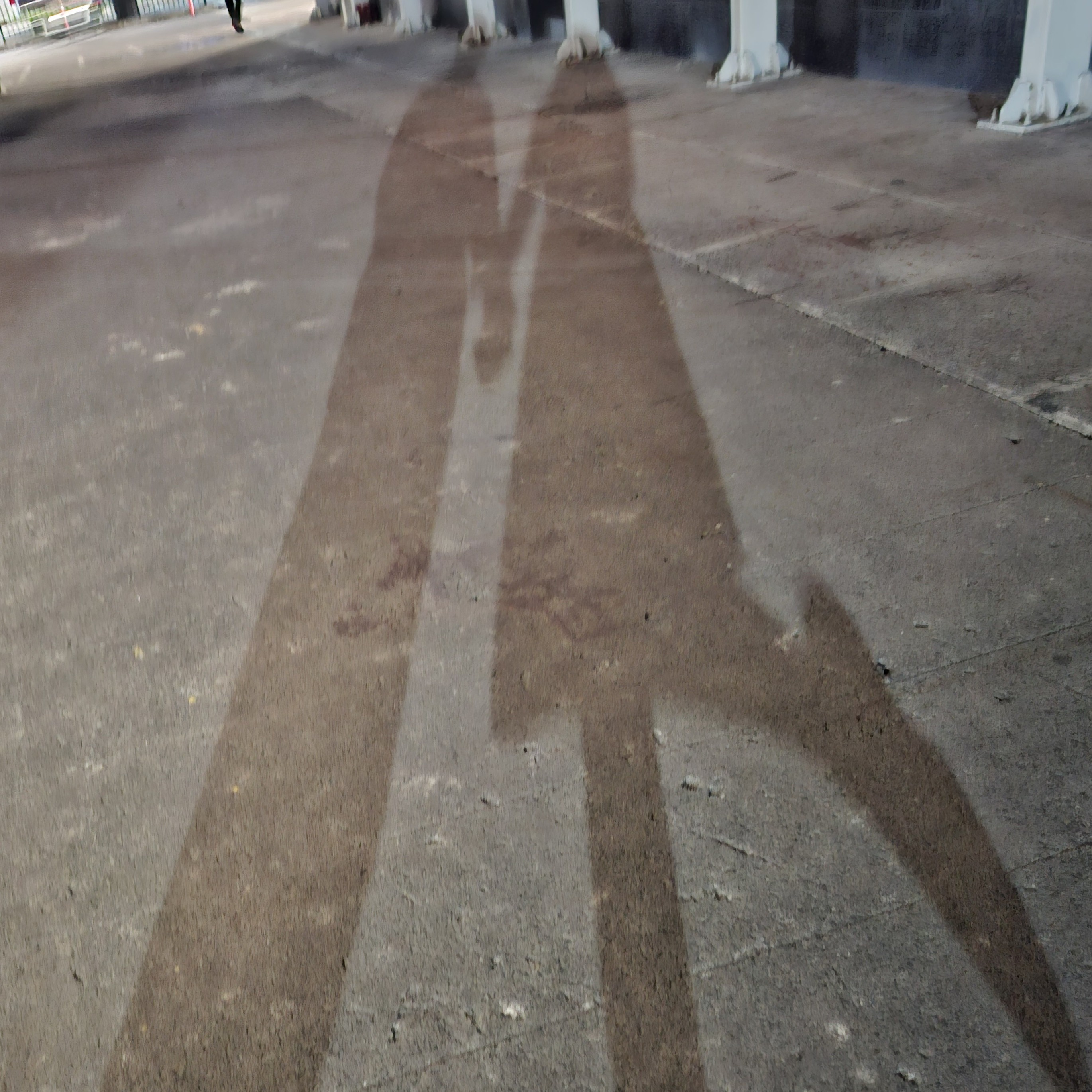 rayover_2026-04-02T14:13:04.623Z