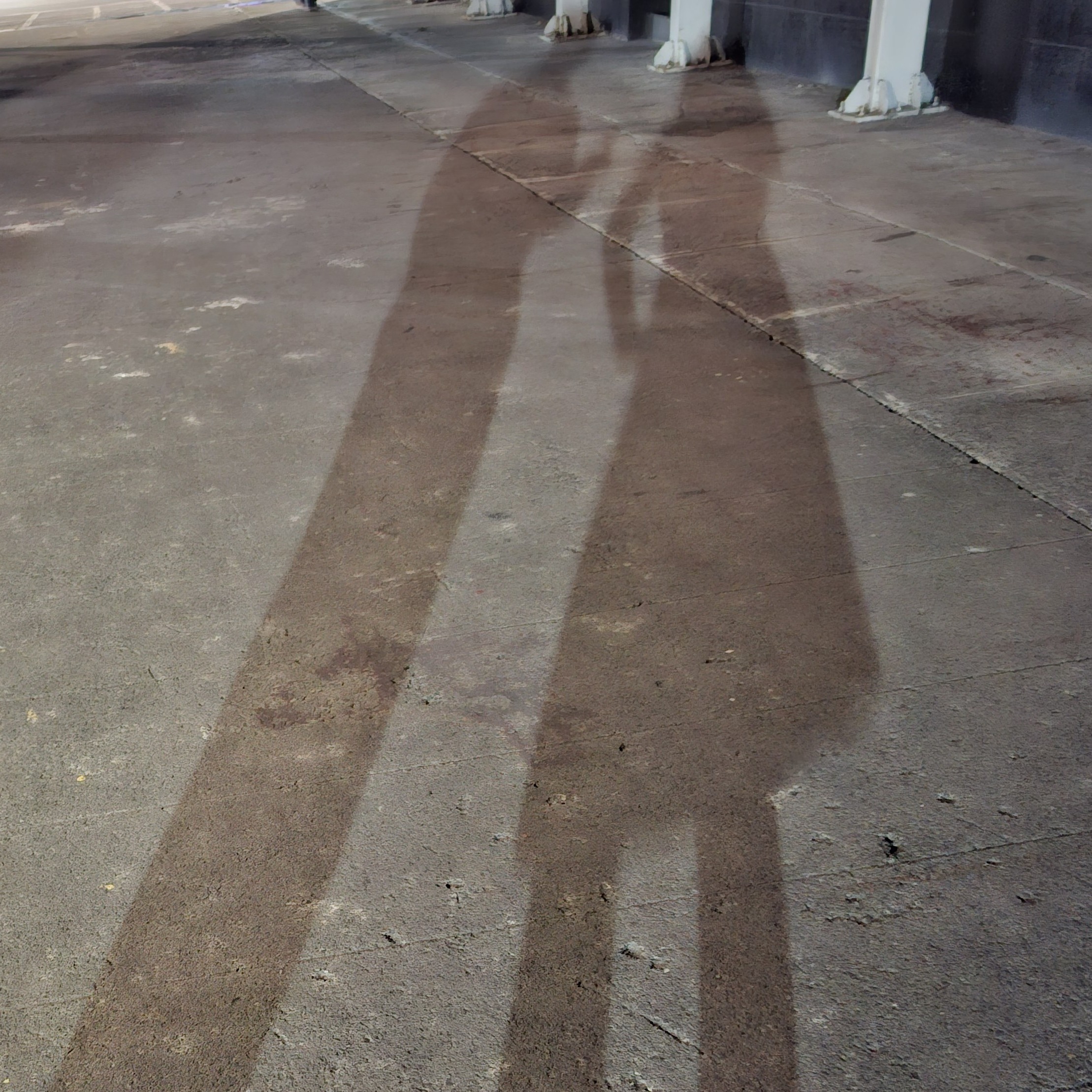 rayover_2026-04-02T14:14:01.138Z