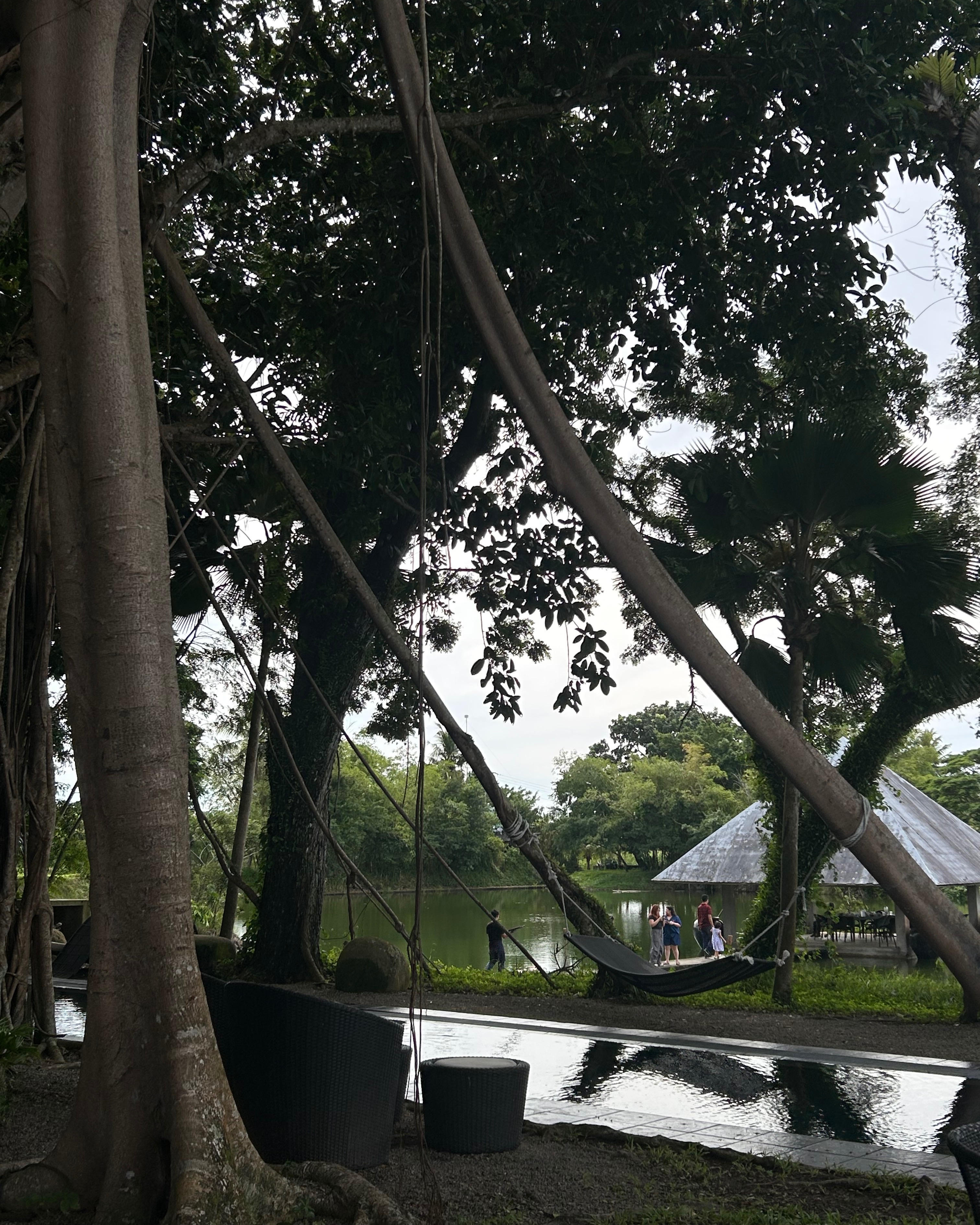 rayover_2026-04-02T17:25:44.349Z