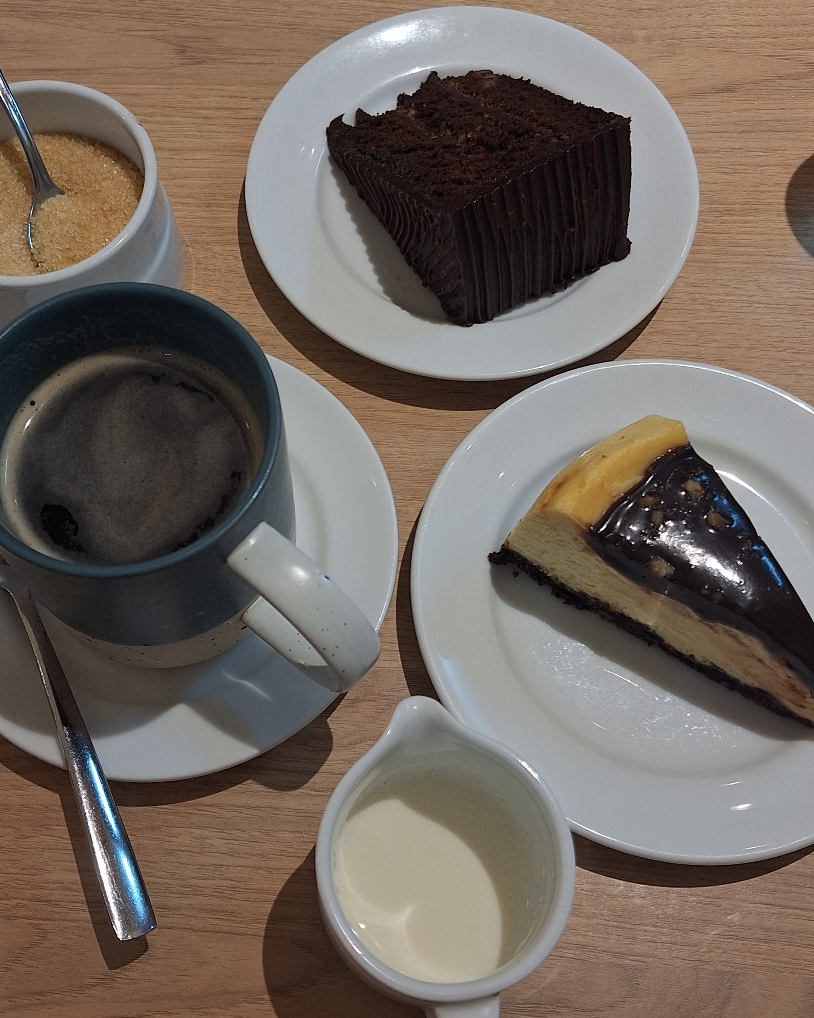 rayover_2026-04-02T17:28:14.363Z