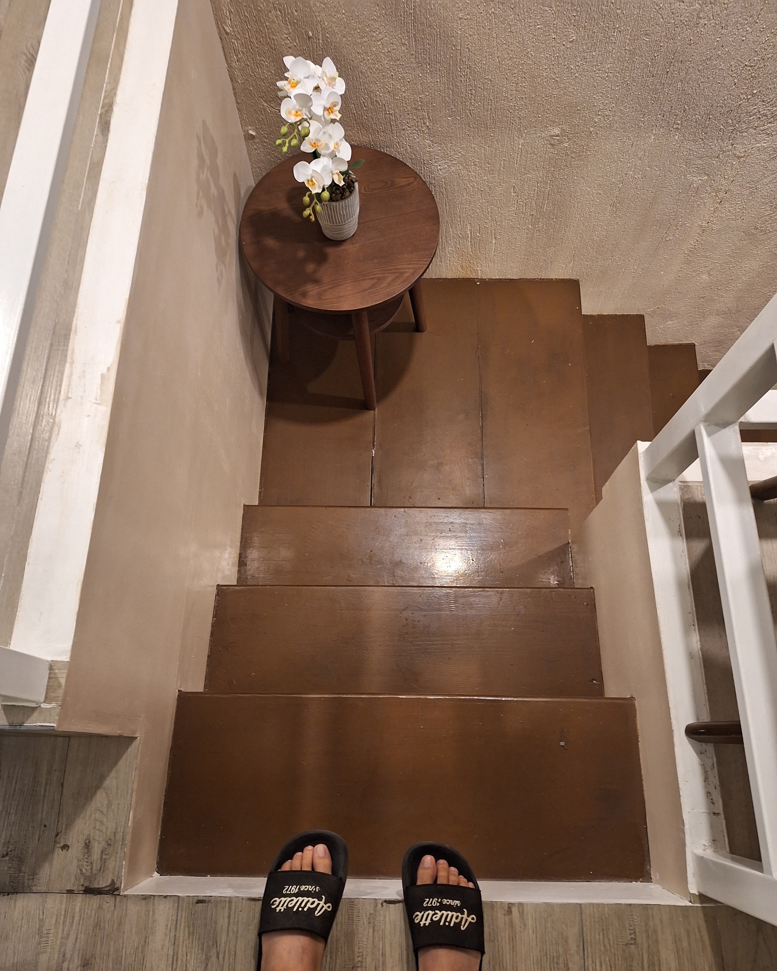 rayover_2026-04-03T04:09:55.342Z